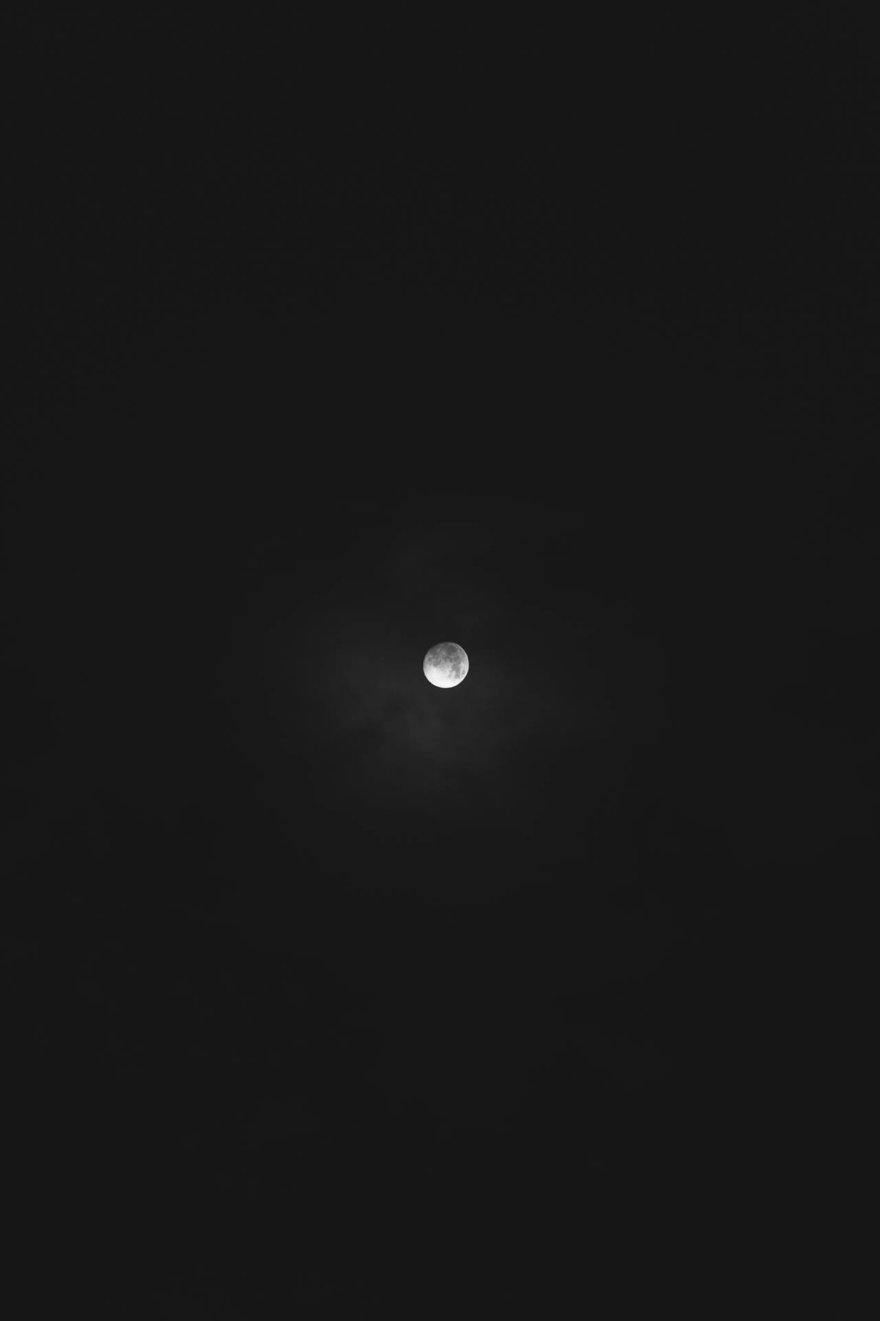 Luna llena en un cielo oscuro de medianoche. Vista de la luna desde abajo. Luz de luna brillante.