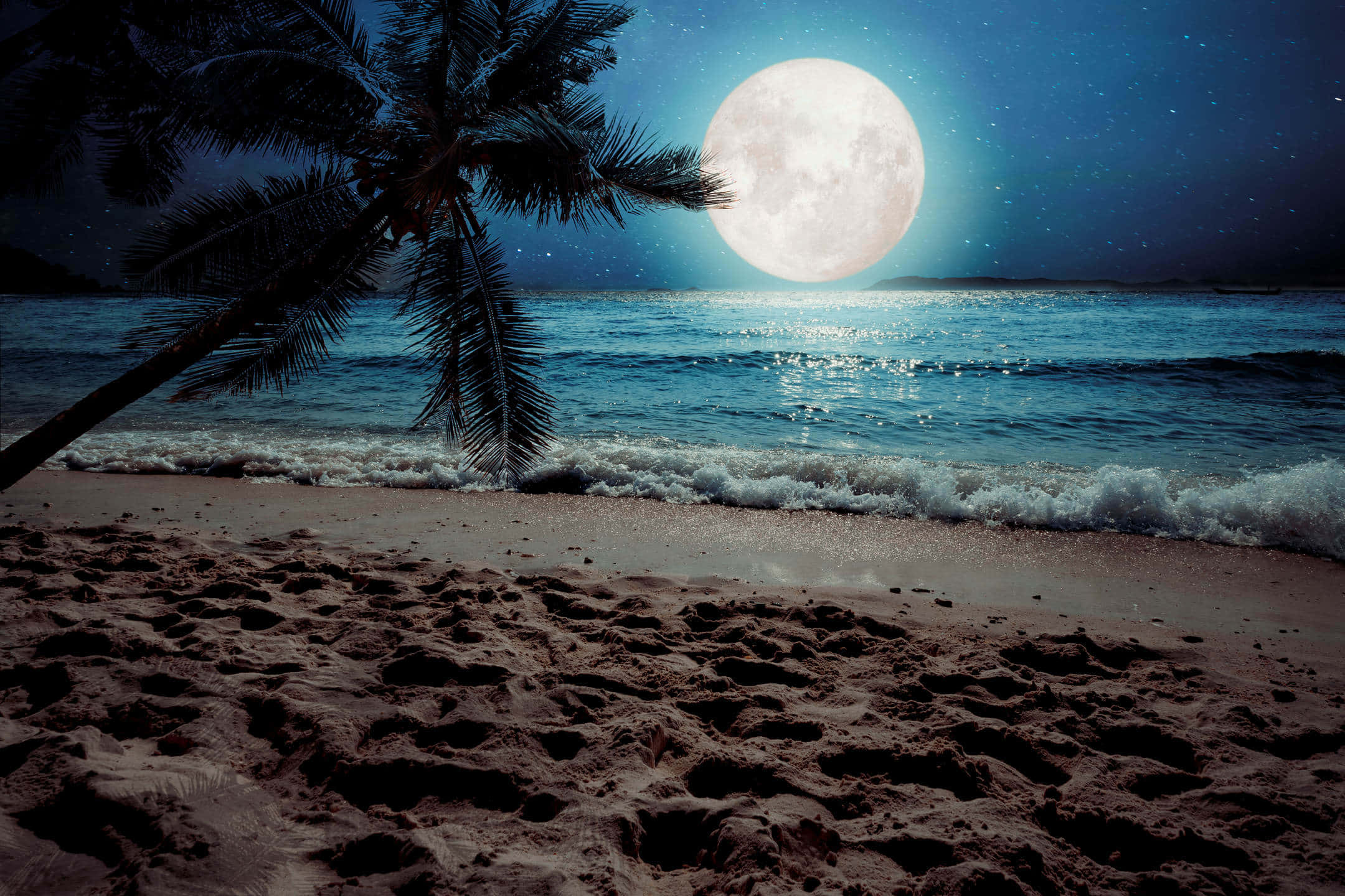 una luna llena está en el cielo Fondos de pantalla