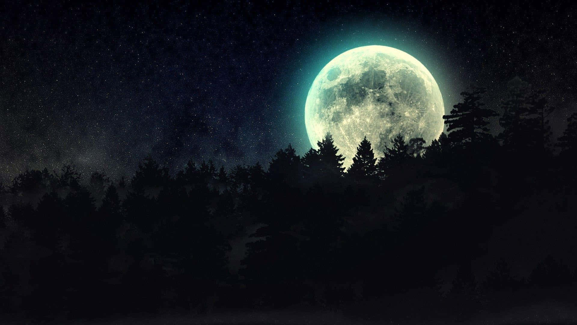 una luna llena se ve sobre un bosque Fondos de pantalla