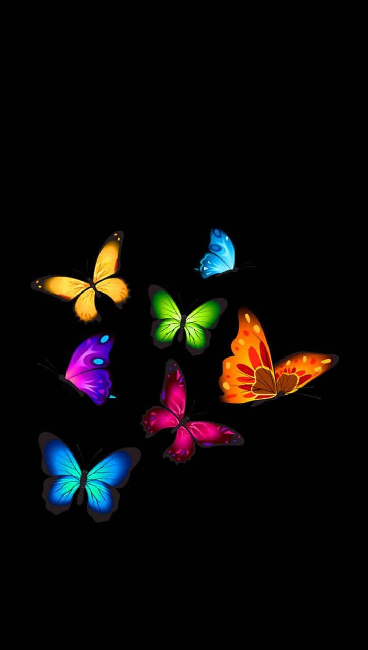 Una mariposa amarilla y naranja brillante descansando sobre una flor púrpura Fondos de pantalla