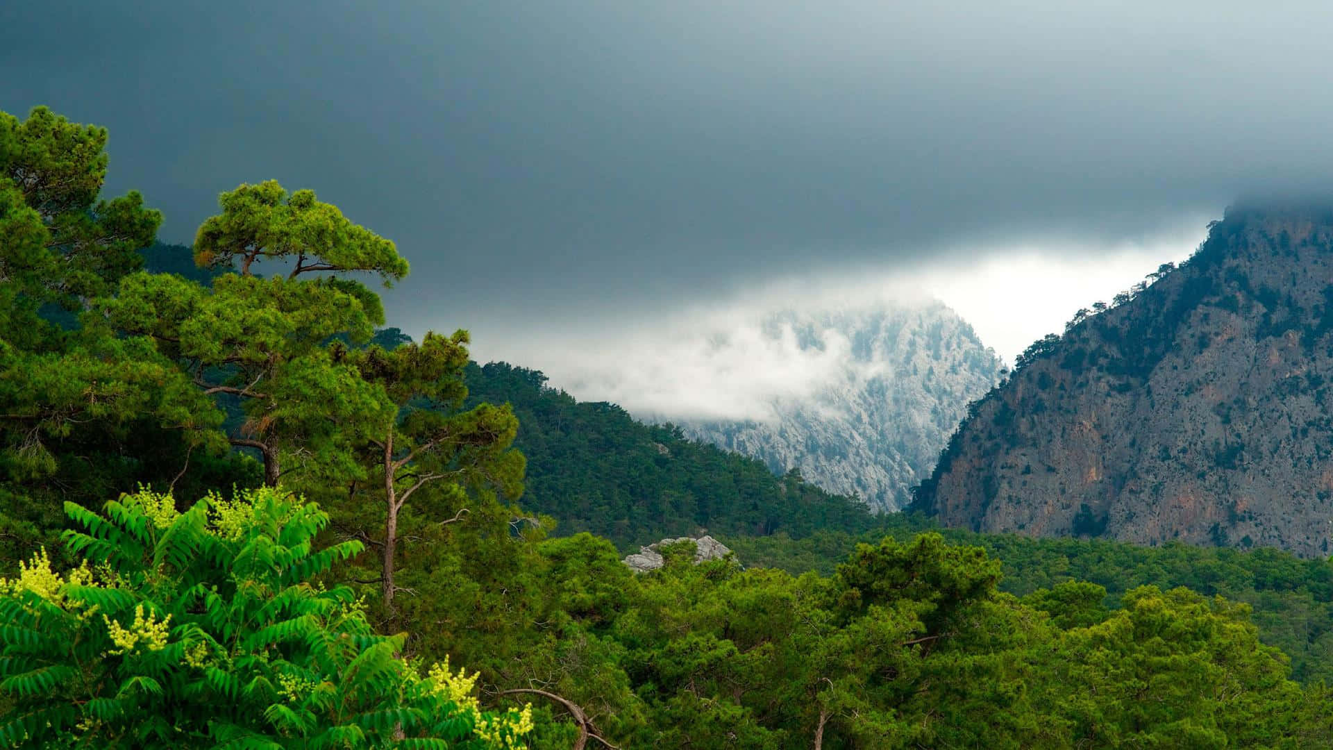 una montaña con árboles y un cielo nublado Fondos de pantalla