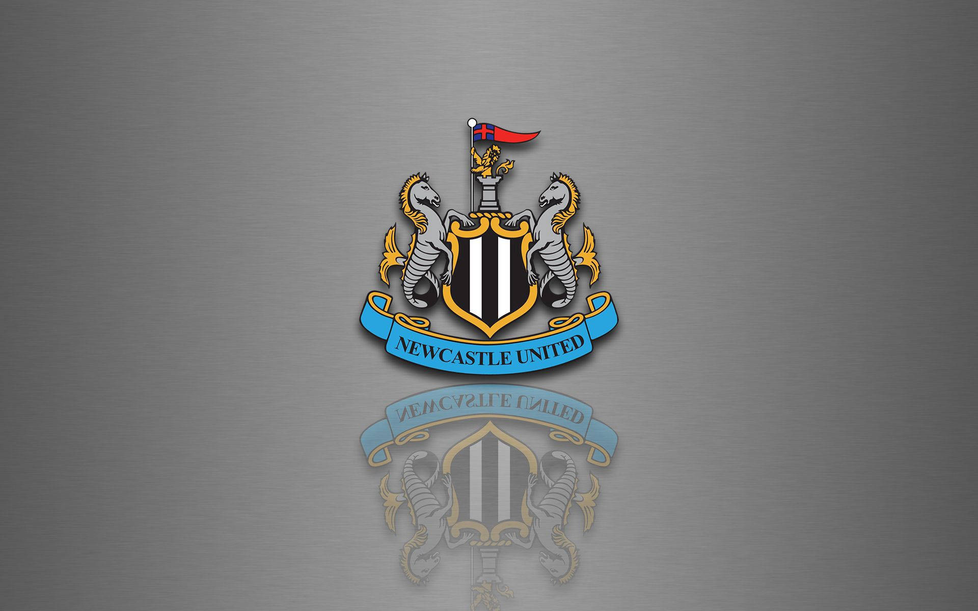 Una multitud rugiente observa mientras el Newcastle United F.C. sale al campo Fondos de pantalla