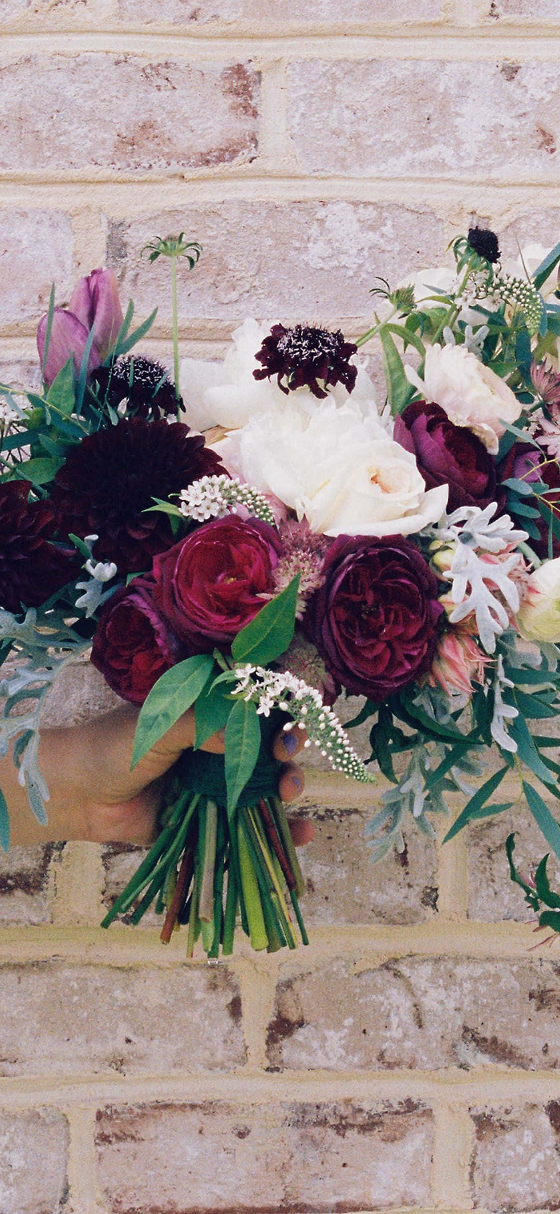 una persona sosteniendo un ramo de flores Fondos de pantalla