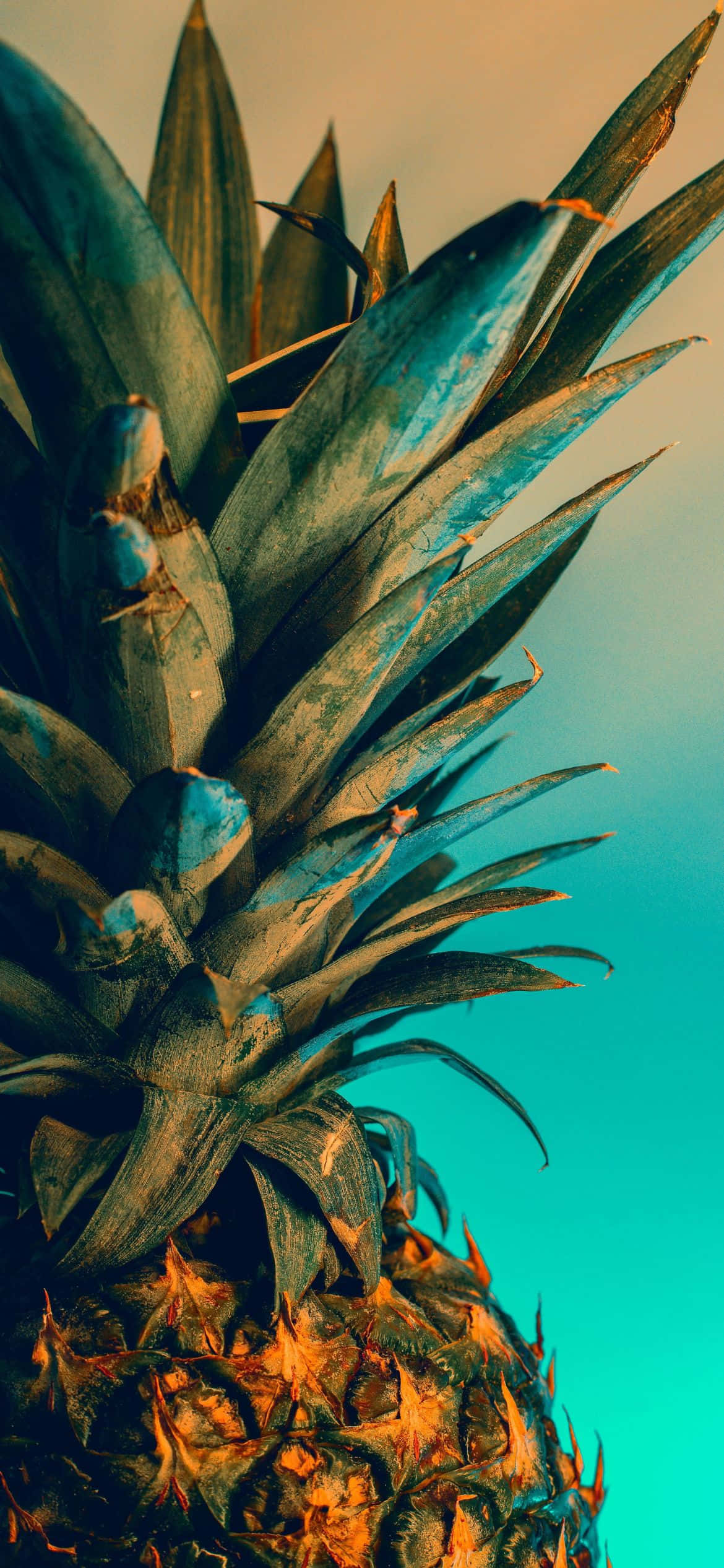 una piña con fondo de cielo azul Fondos de pantalla