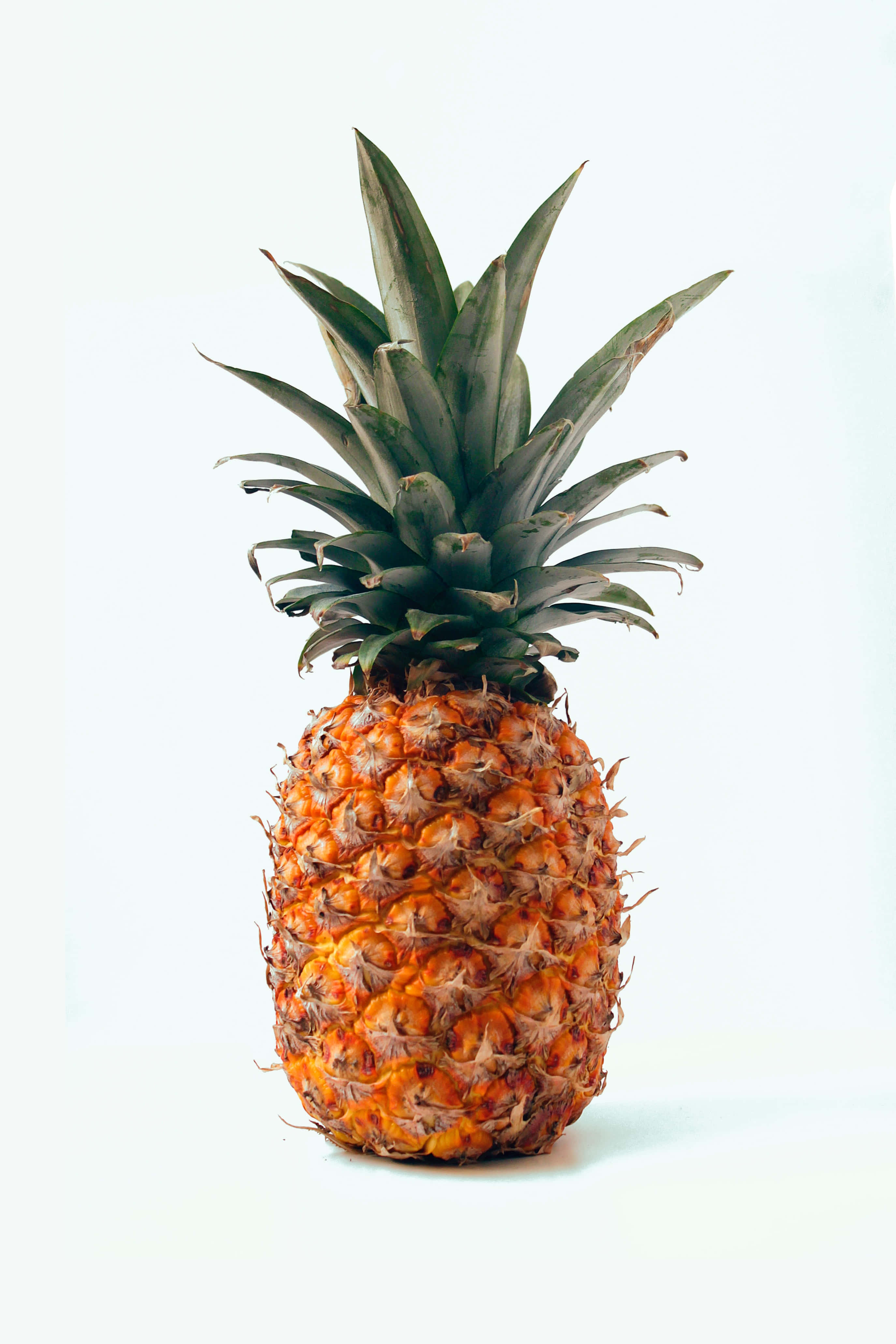Una piña fresca y jugosa Fondos de pantalla