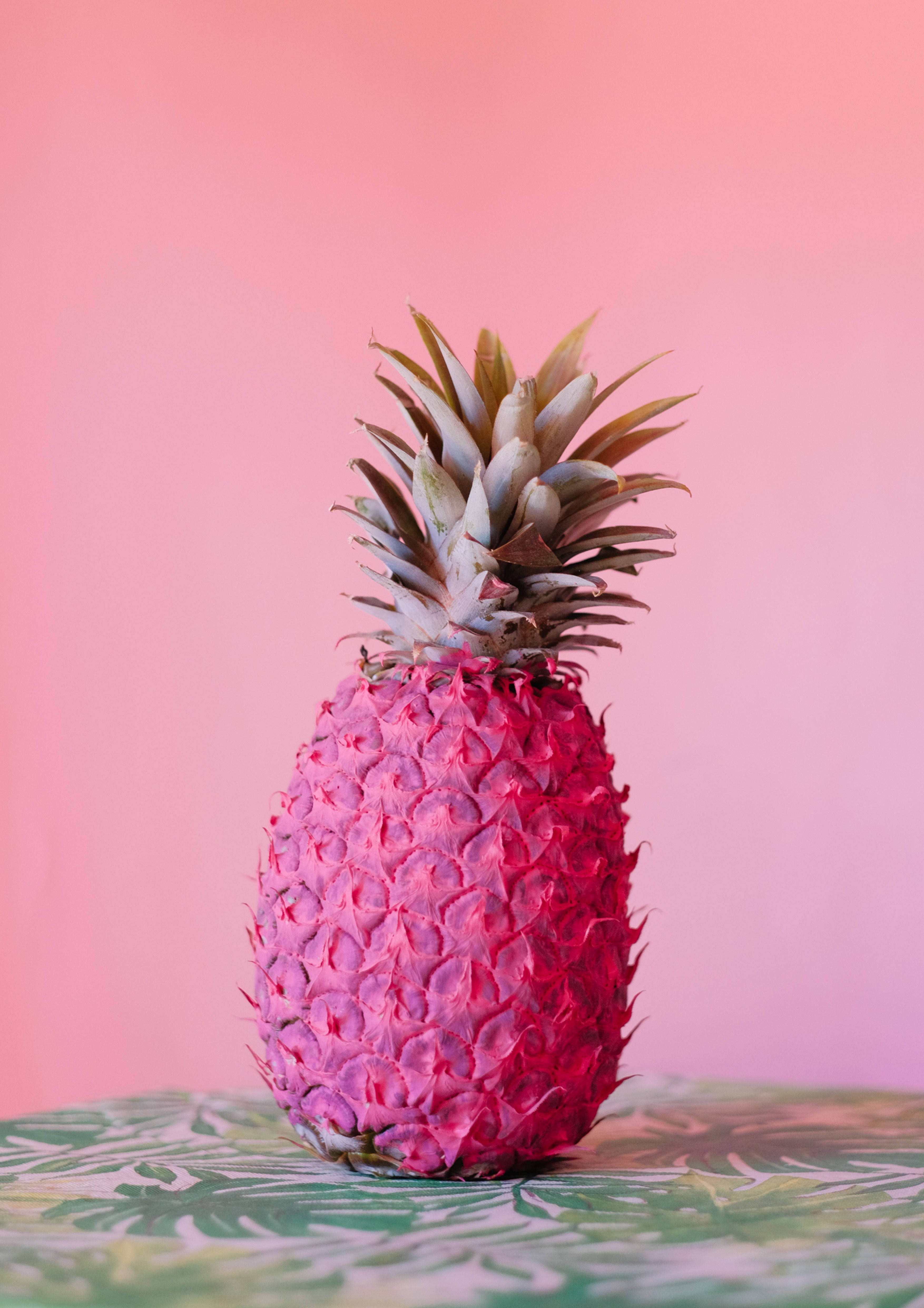 Una piña hermosa de color rosa brillante Fondos de pantalla