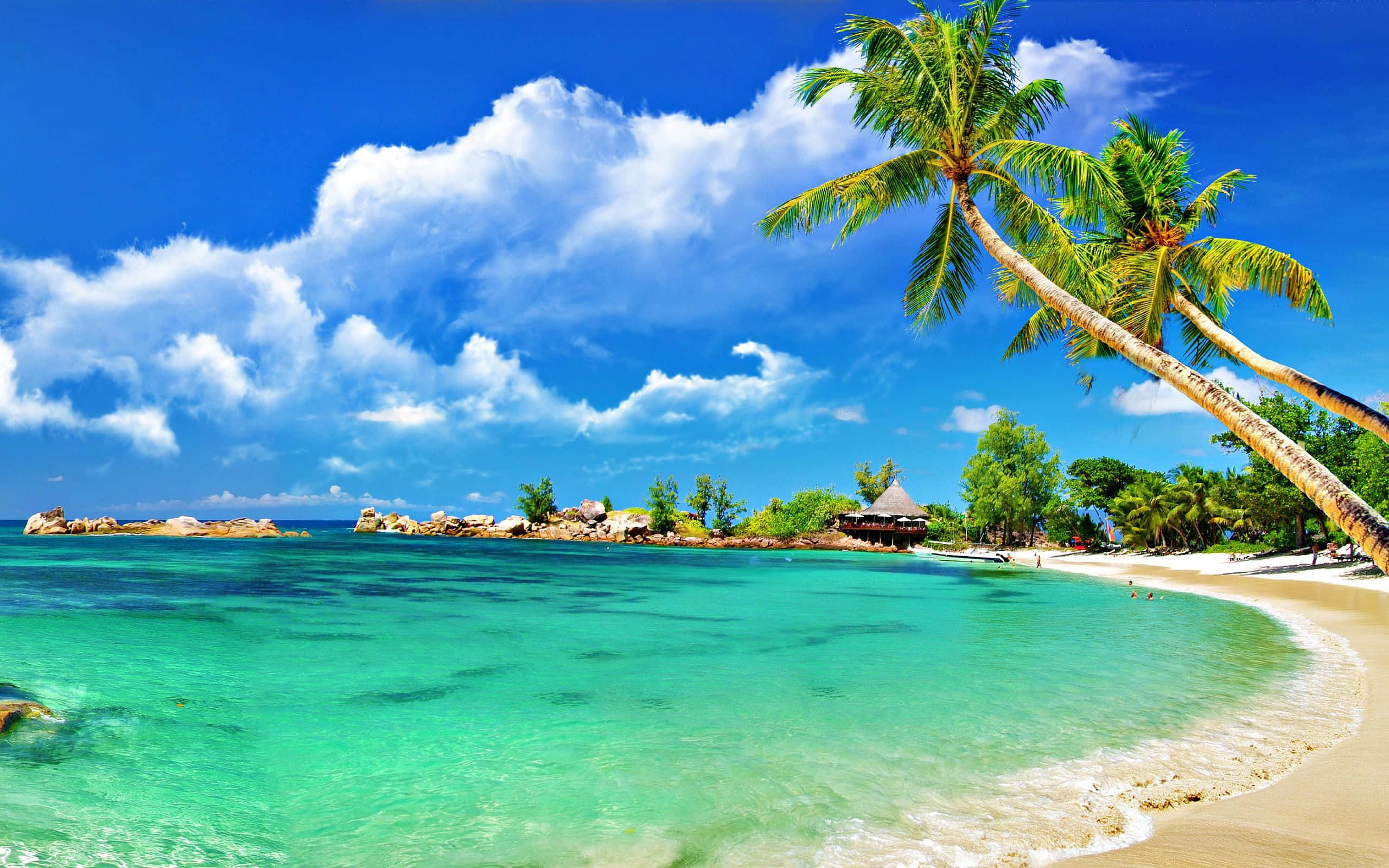 una playa de arena con palmeras Fondos de pantalla