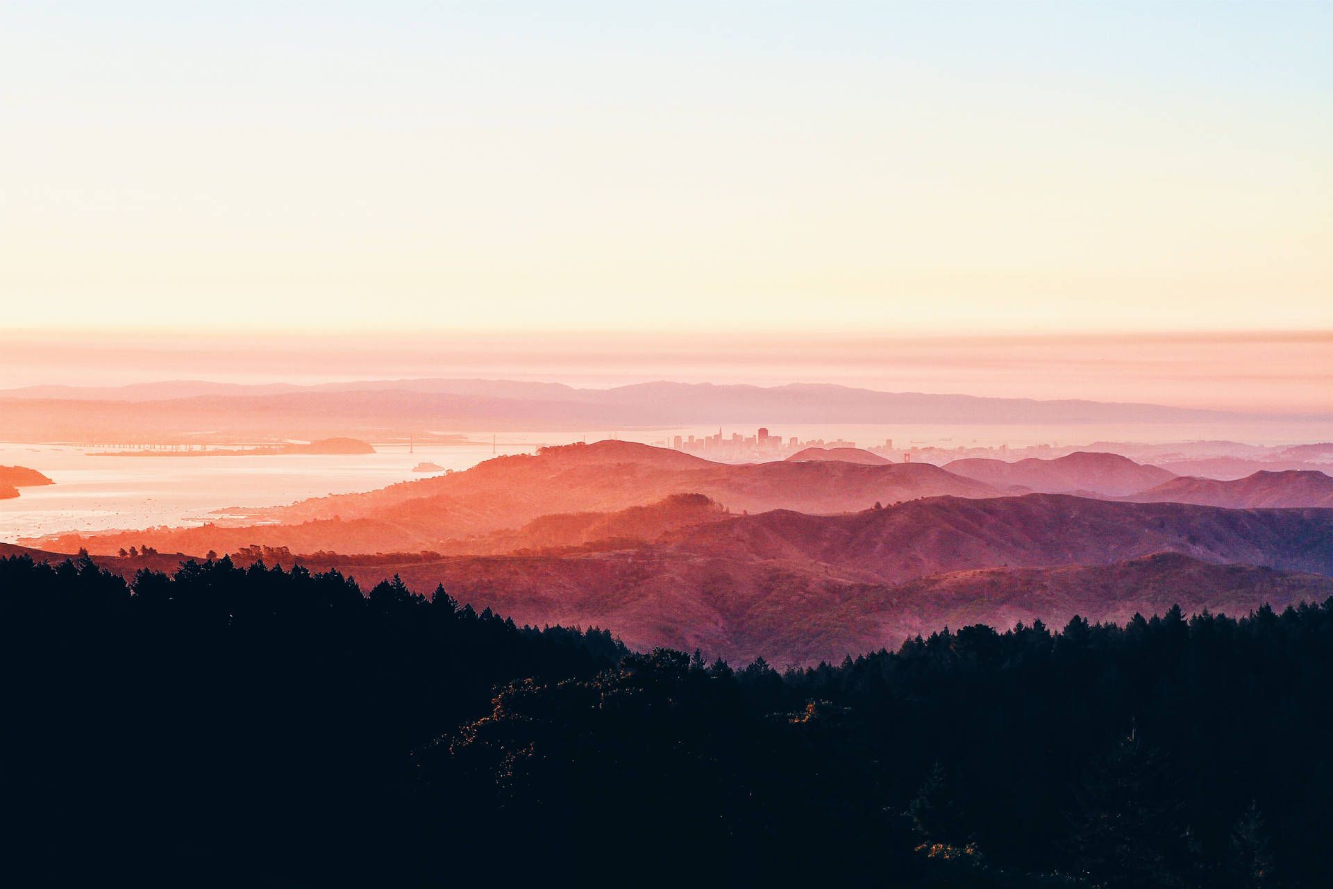 Atardecer de montaña con cielo rosa y árboles coníferos.