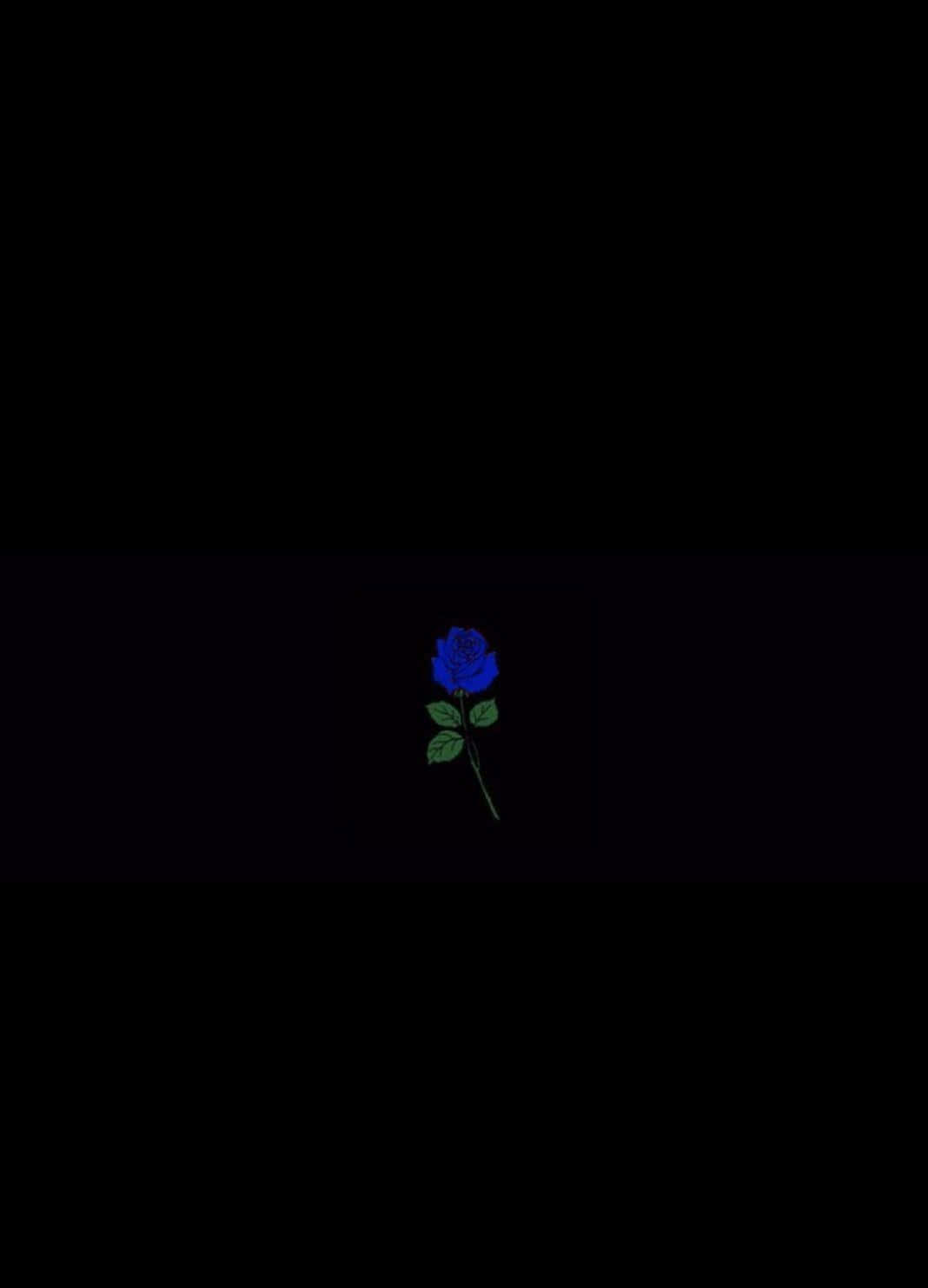 una rosa azul sobre un fondo negro Fondos de pantalla