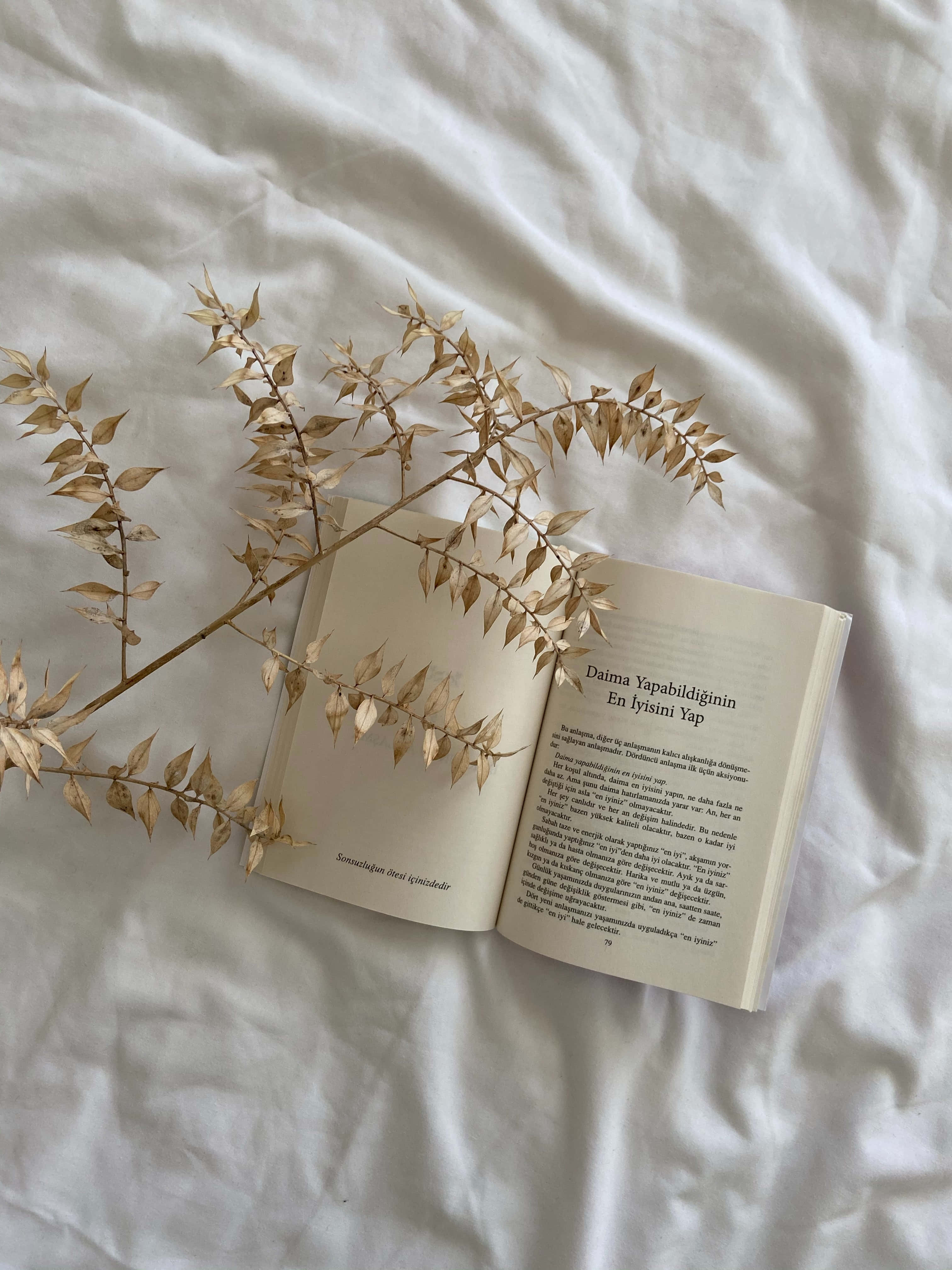 Una taza de café y un libro abierto, en un día perfecto para absorber nuevos conocimientos. Fondos de pantalla