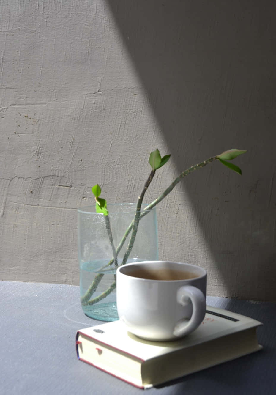 una taza de café y un libro sobre una mesa Fondos de pantalla