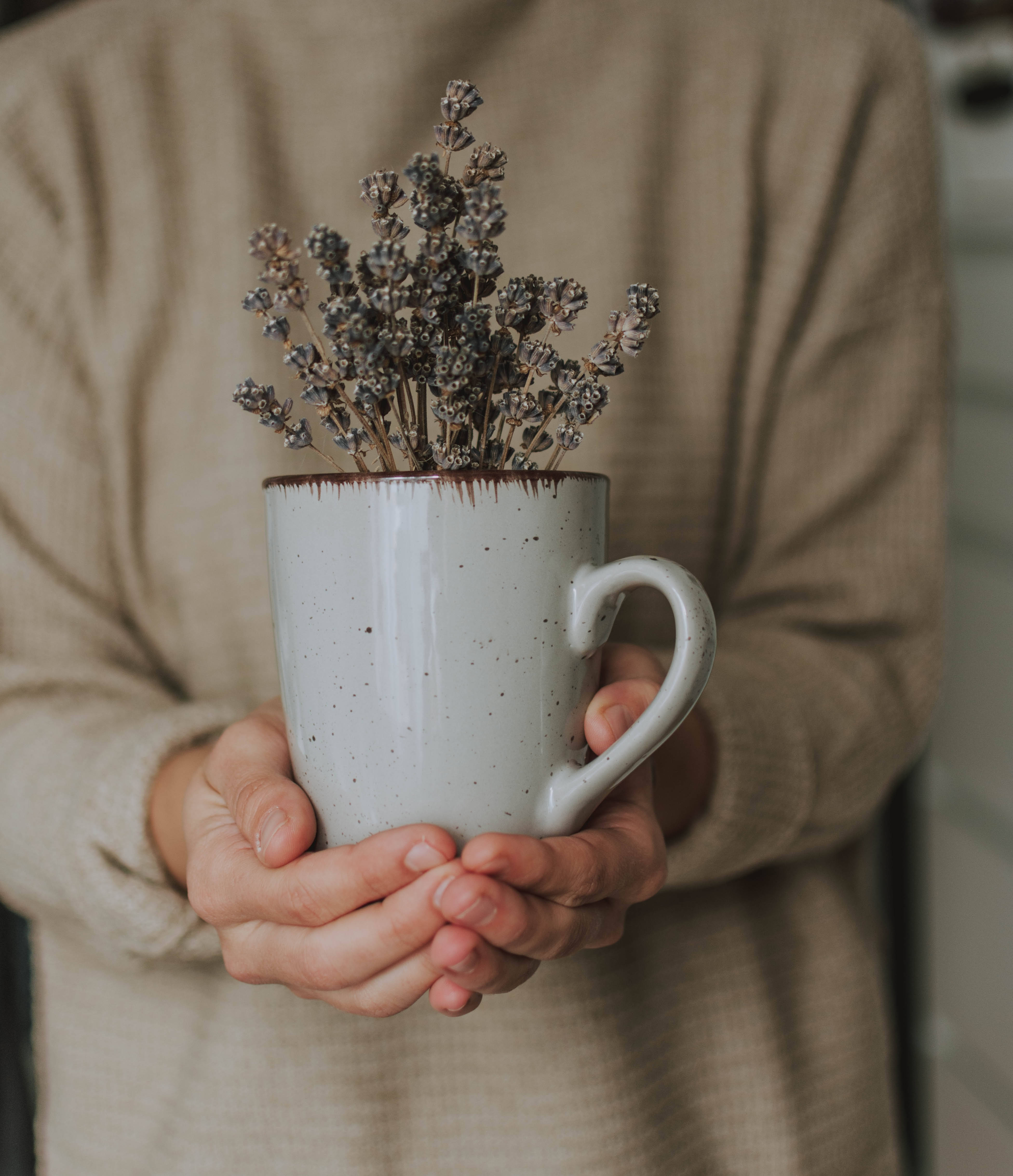 Una taza de flores de lavanda Fondos de pantalla