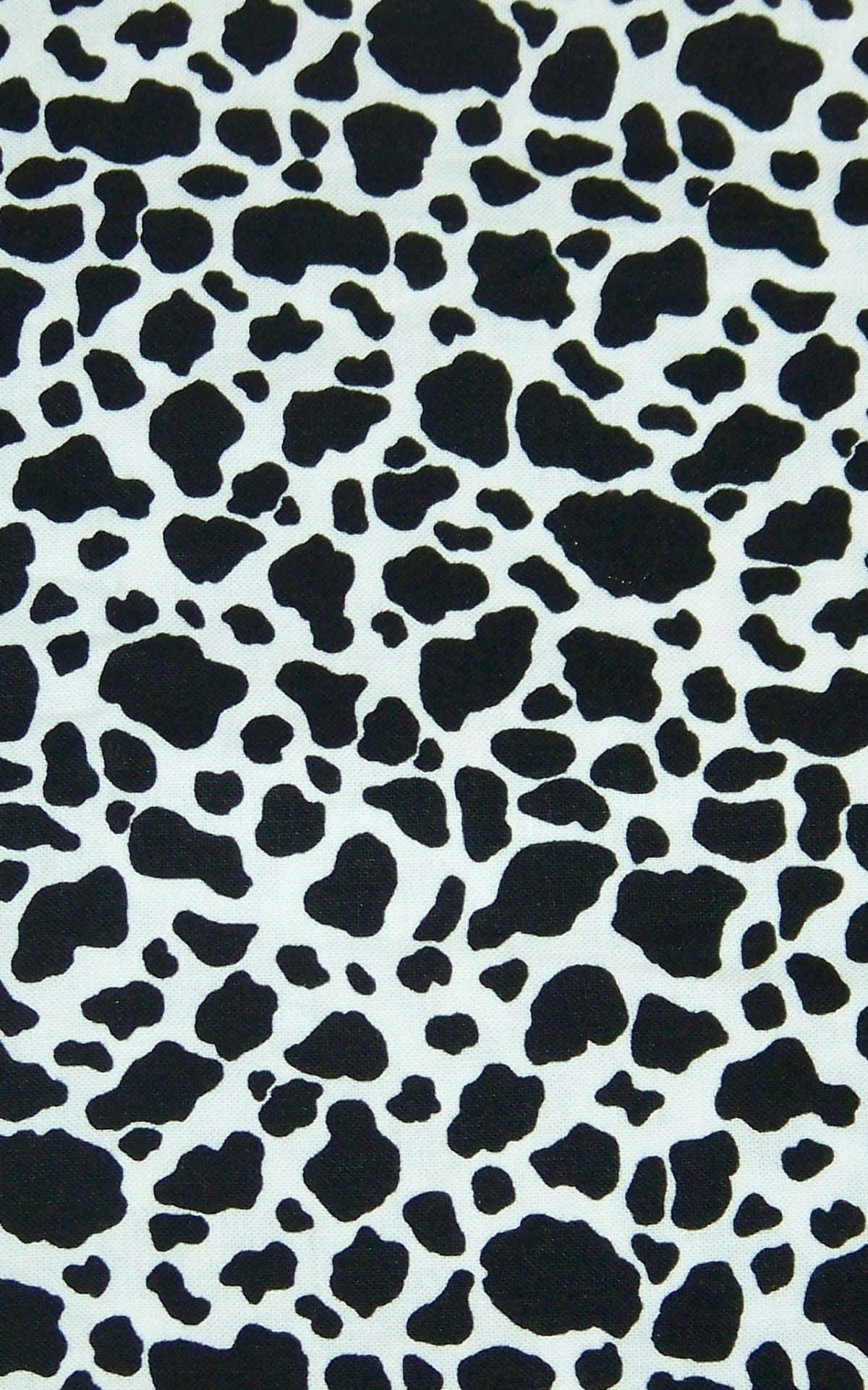 una tela de estampado de vaca en blanco y negro Fondos de pantalla
