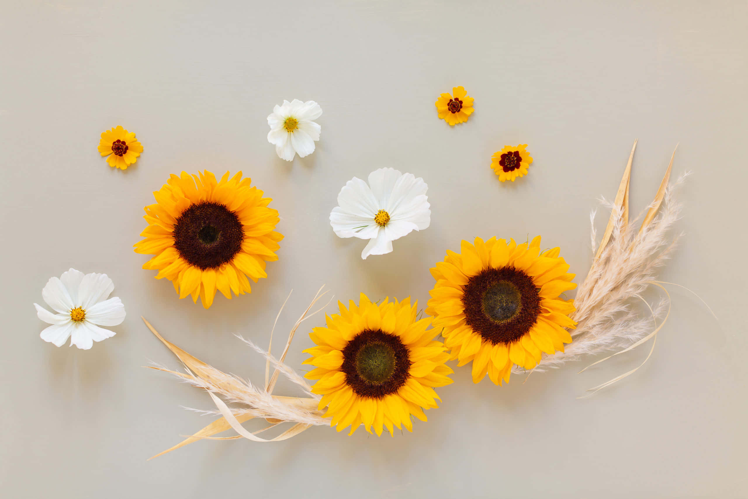 Una vibrante exhibición de flores exquisitas Fondos de pantalla