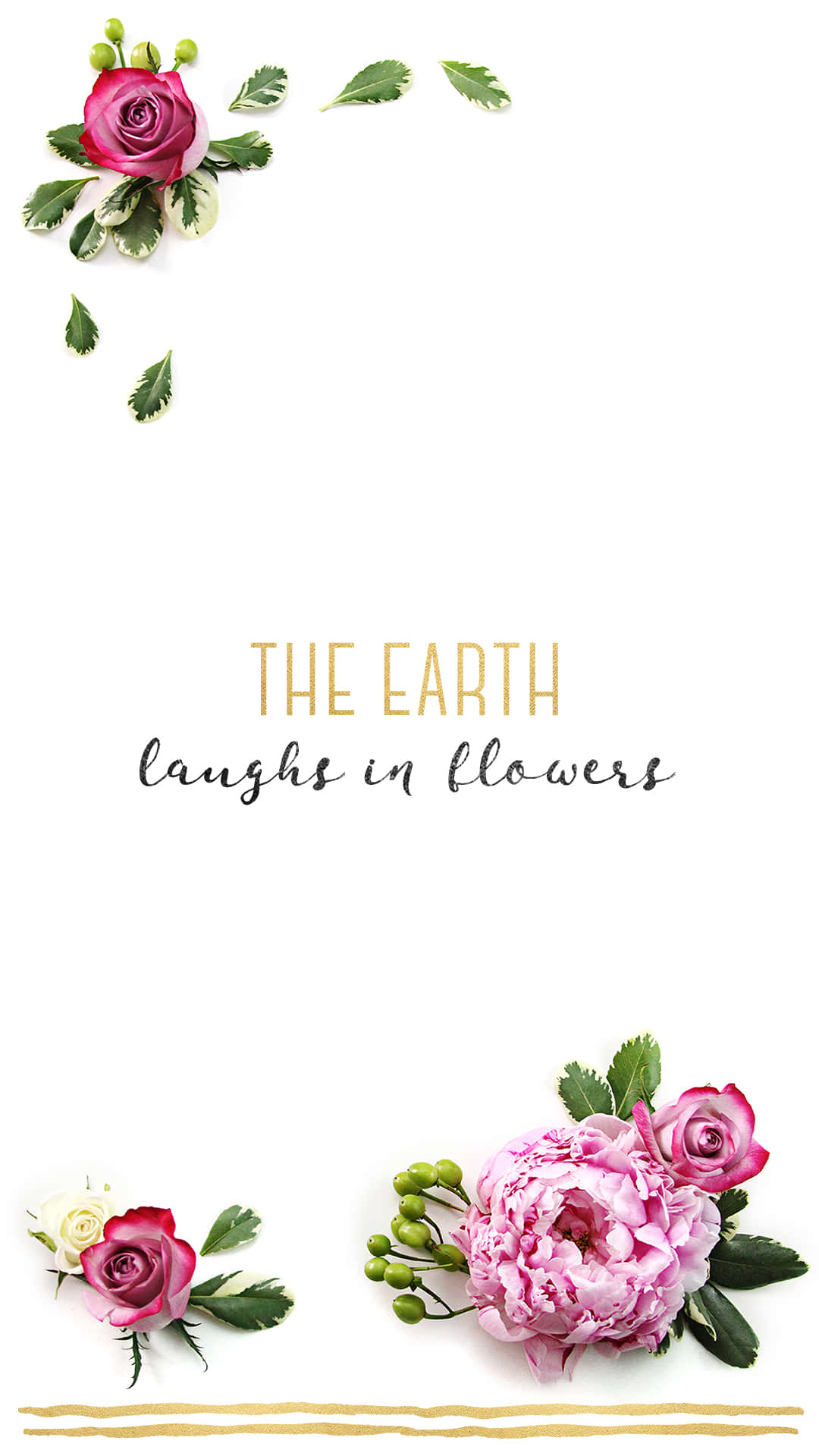 Una vibrante sinfonía floral en la pantalla de tu teléfono Fondos de pantalla