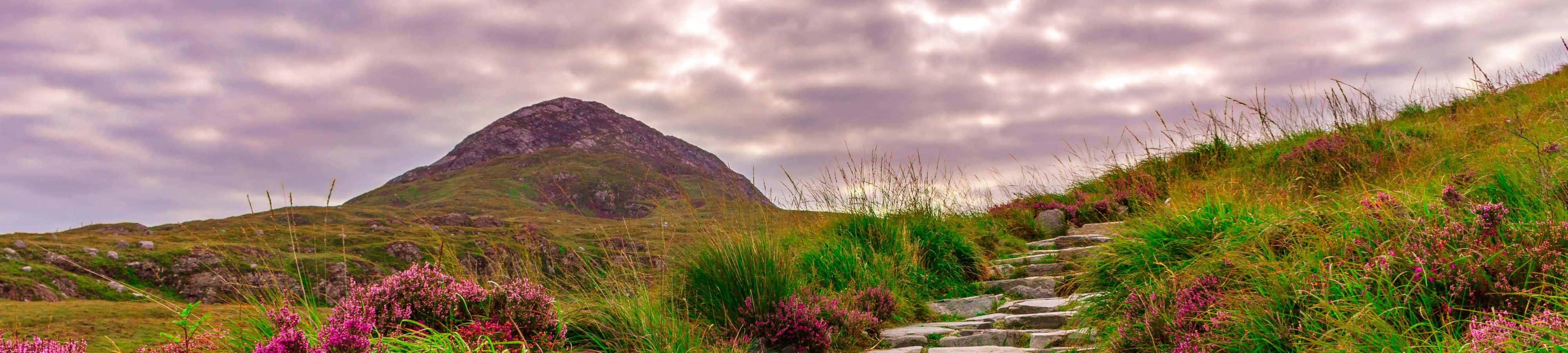 "Una vista de la serenidad de la naturaleza" Fondos de pantalla
