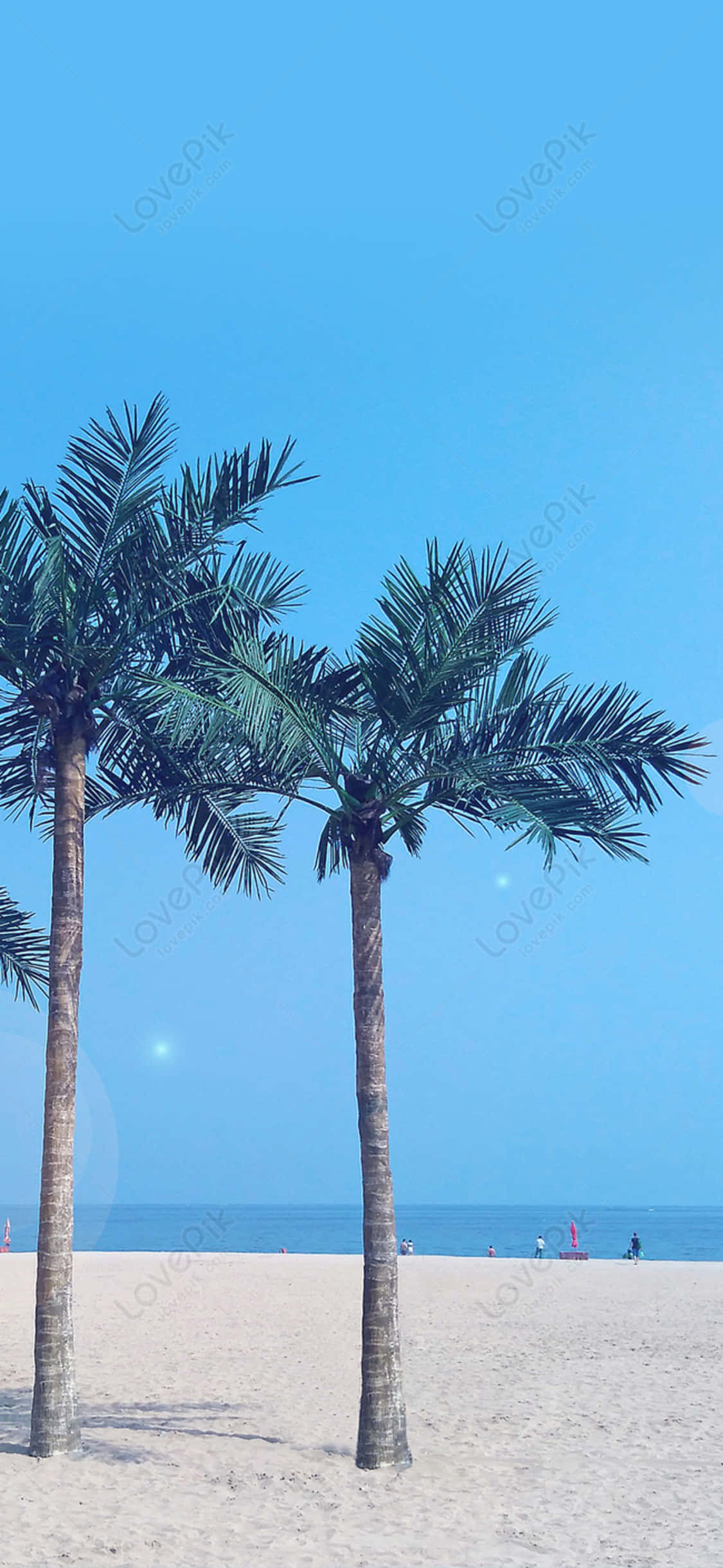 Una vista escénica capturada con iPhone X en un día soleado de playa Fondos de pantalla
