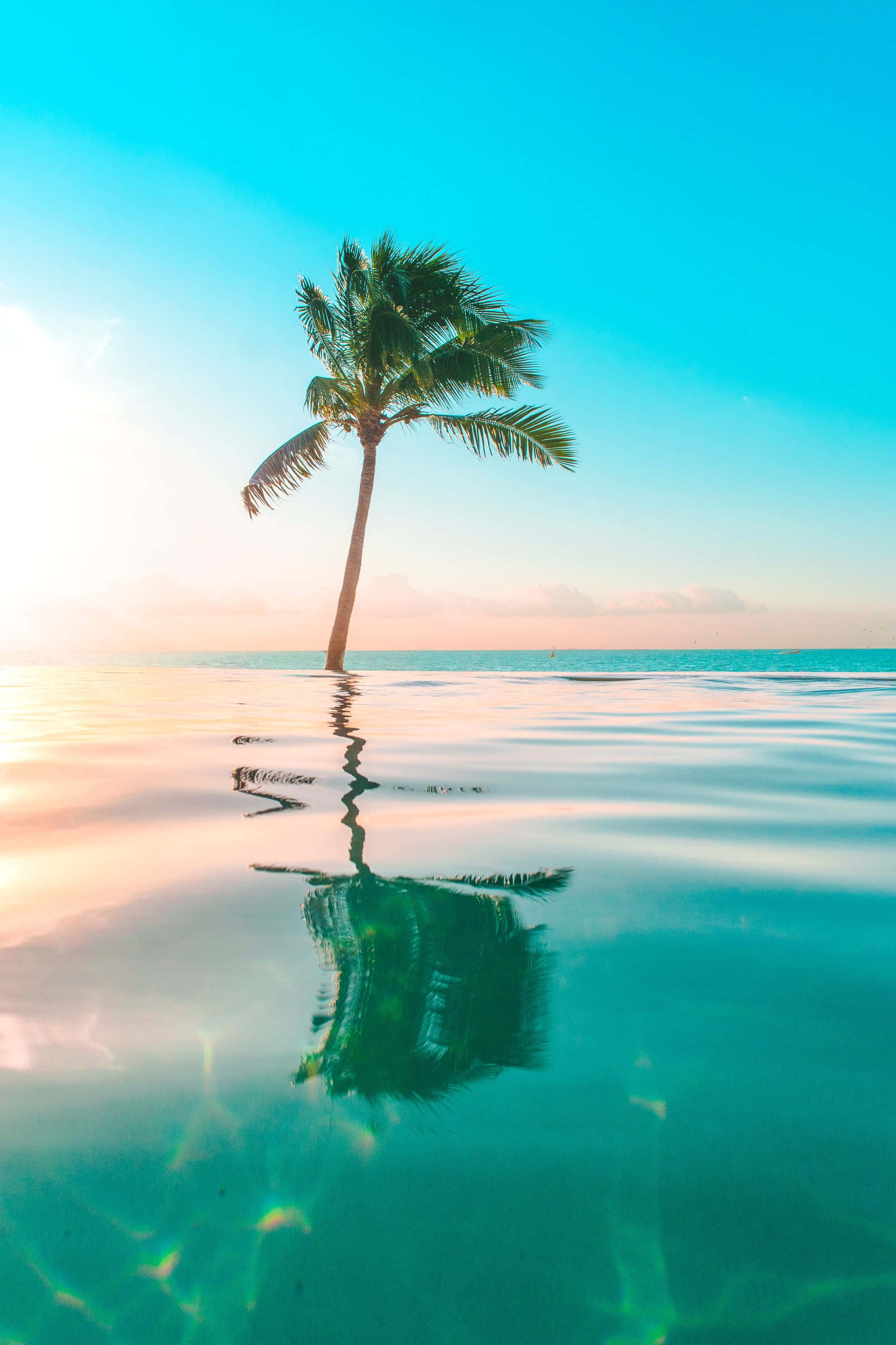 Una vista impresionante de una playa increíble en el trópico Fondos de pantalla