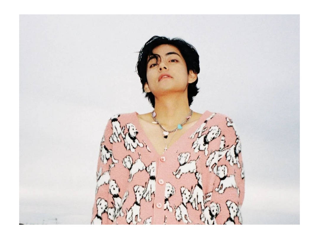 V de BTS con suéter rosa de perritos Fondos de pantalla