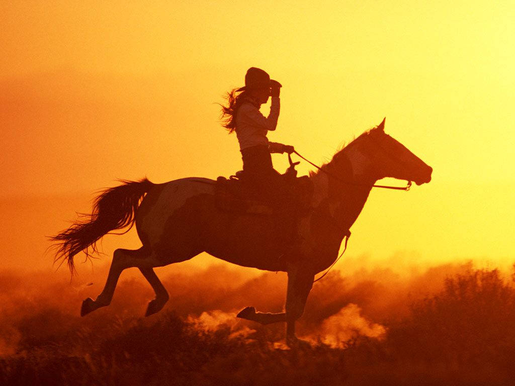 Vaqueros Cabalgando Hacia el Atardecer Fondos de pantalla