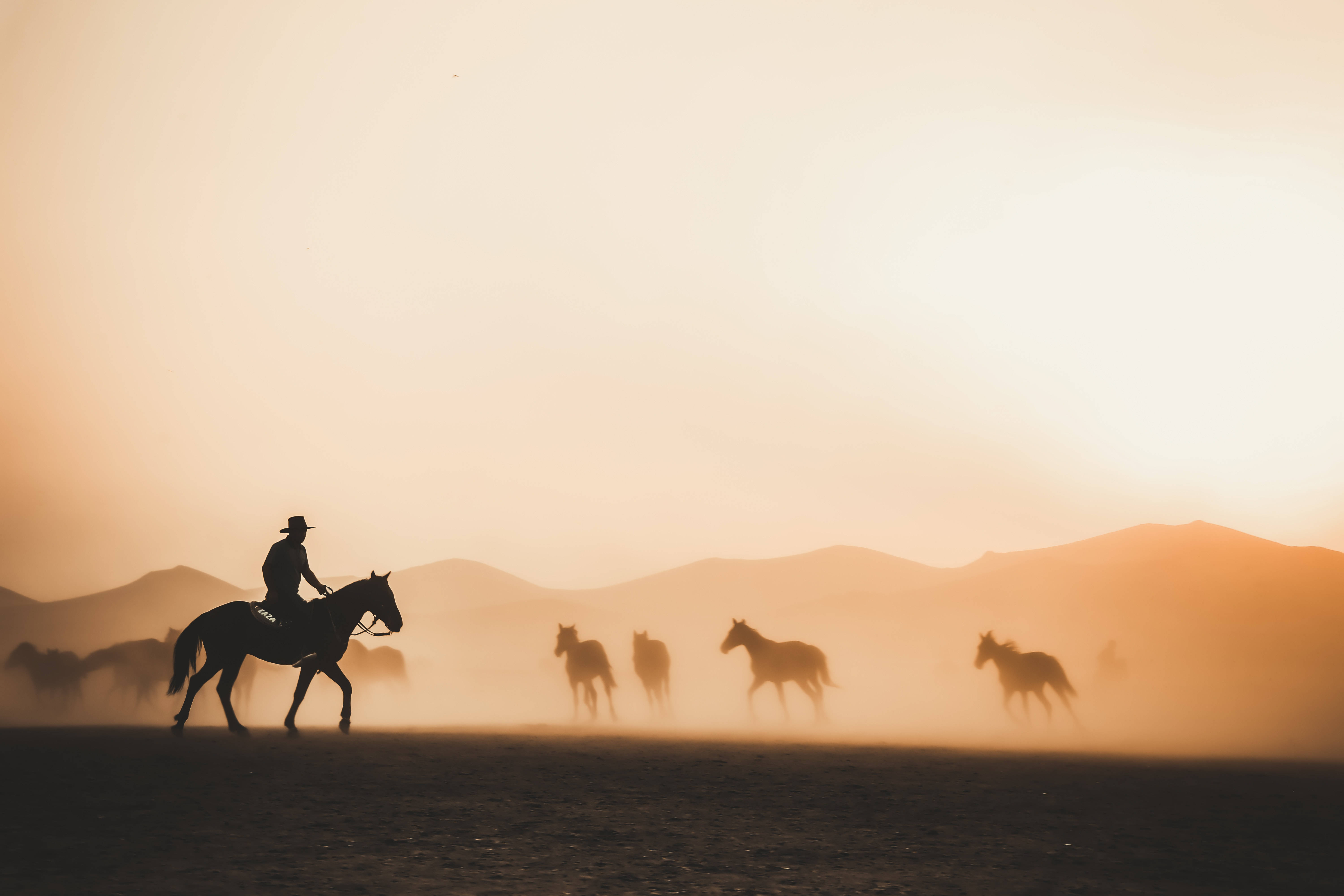 Vaqueros reuniendo caballos en 4K Fondos de pantalla