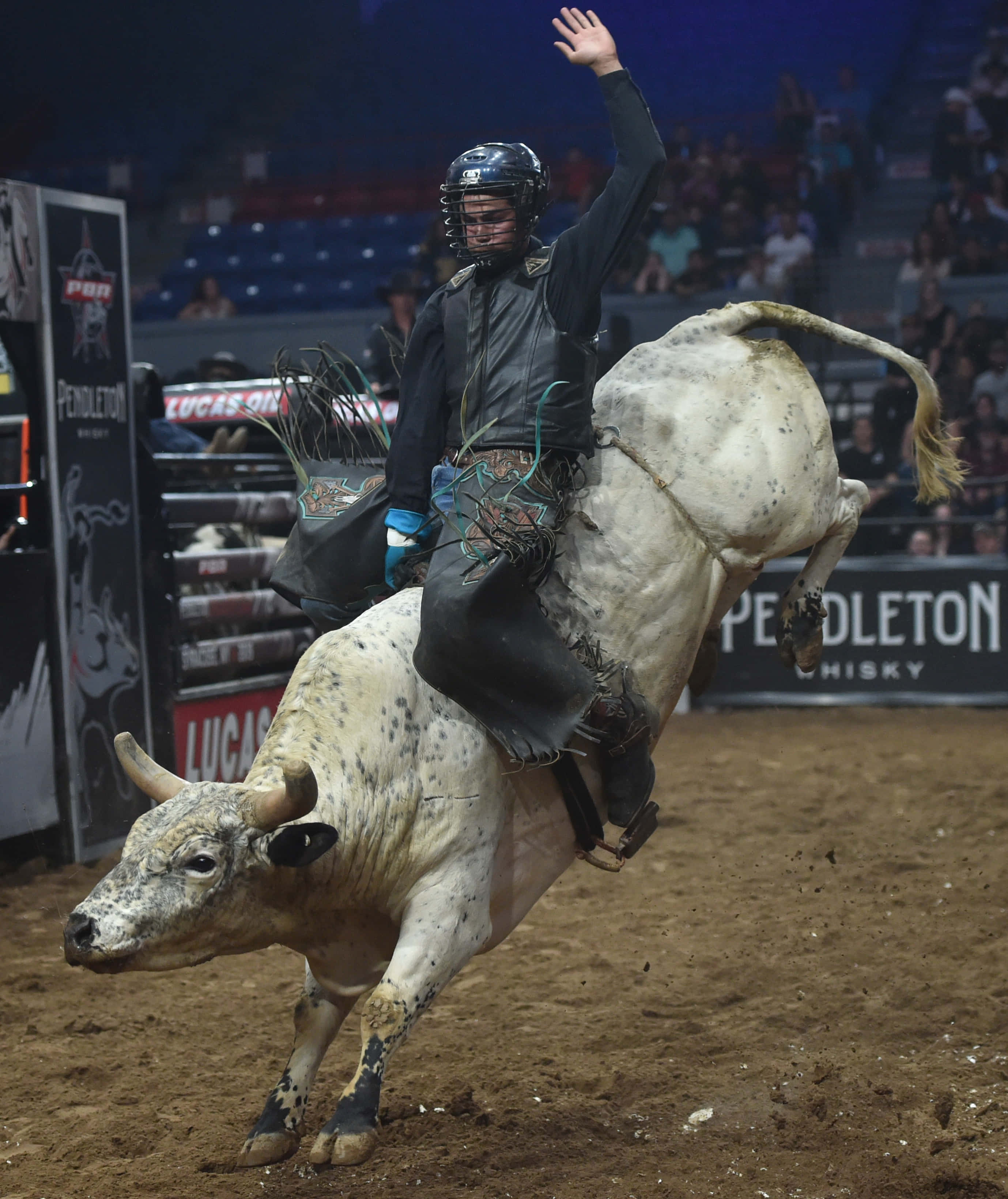 Vaqueros se lanzan a la acción durante competencia de monta de toros Fondos de pantalla