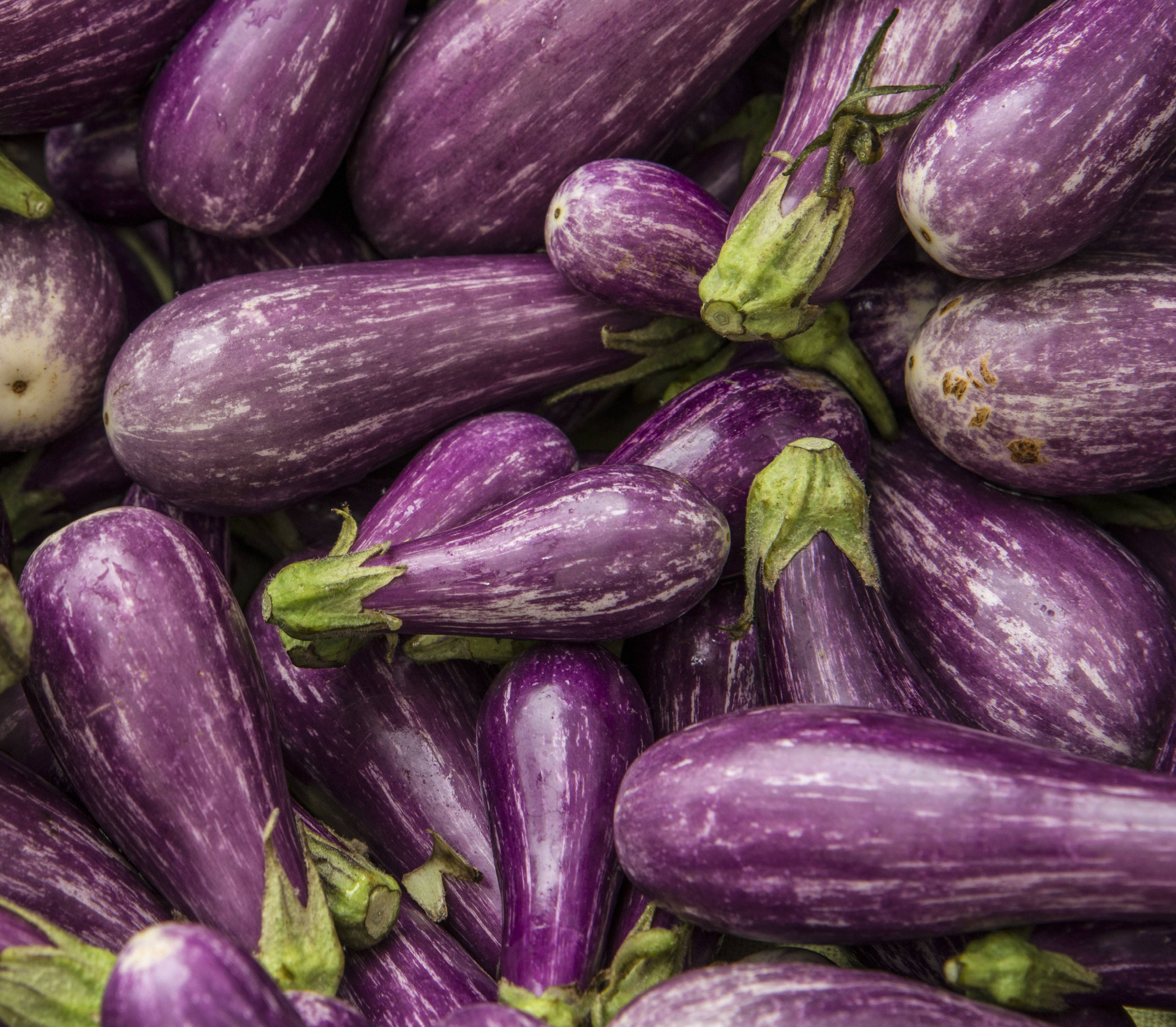 Variedad de Berenjena de Cuento de Hadas Fondos de pantalla