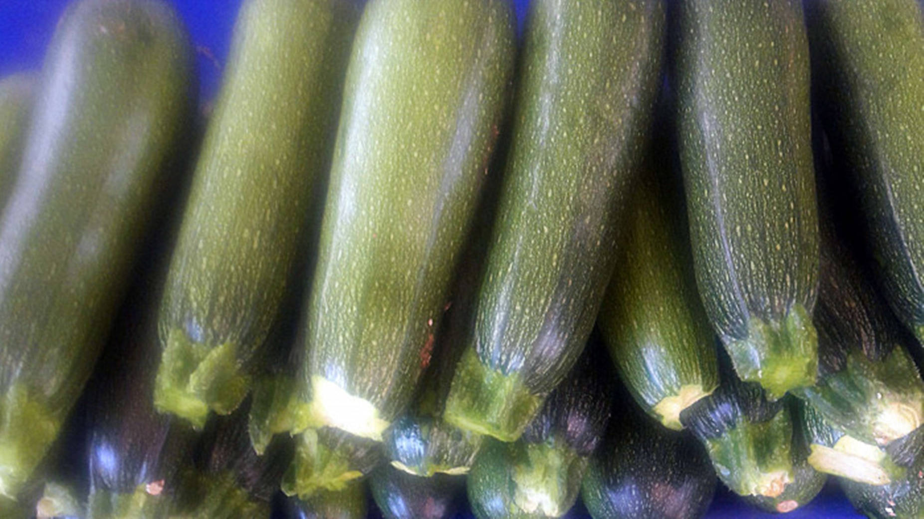 Variedad de Calabacín Baby Marrow Fondos de pantalla