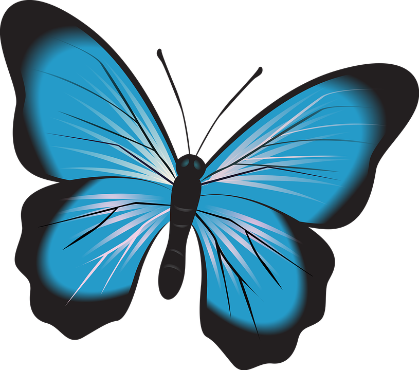 Vector de mariposa azul vibrante Fondos de pantalla