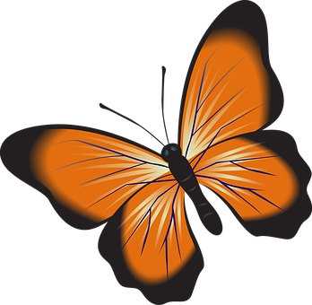 Vector de mariposa naranja vibrante Fondos de pantalla