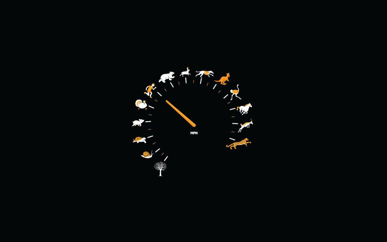 Velocímetro Negro Simple con Animales Fondos de pantalla
