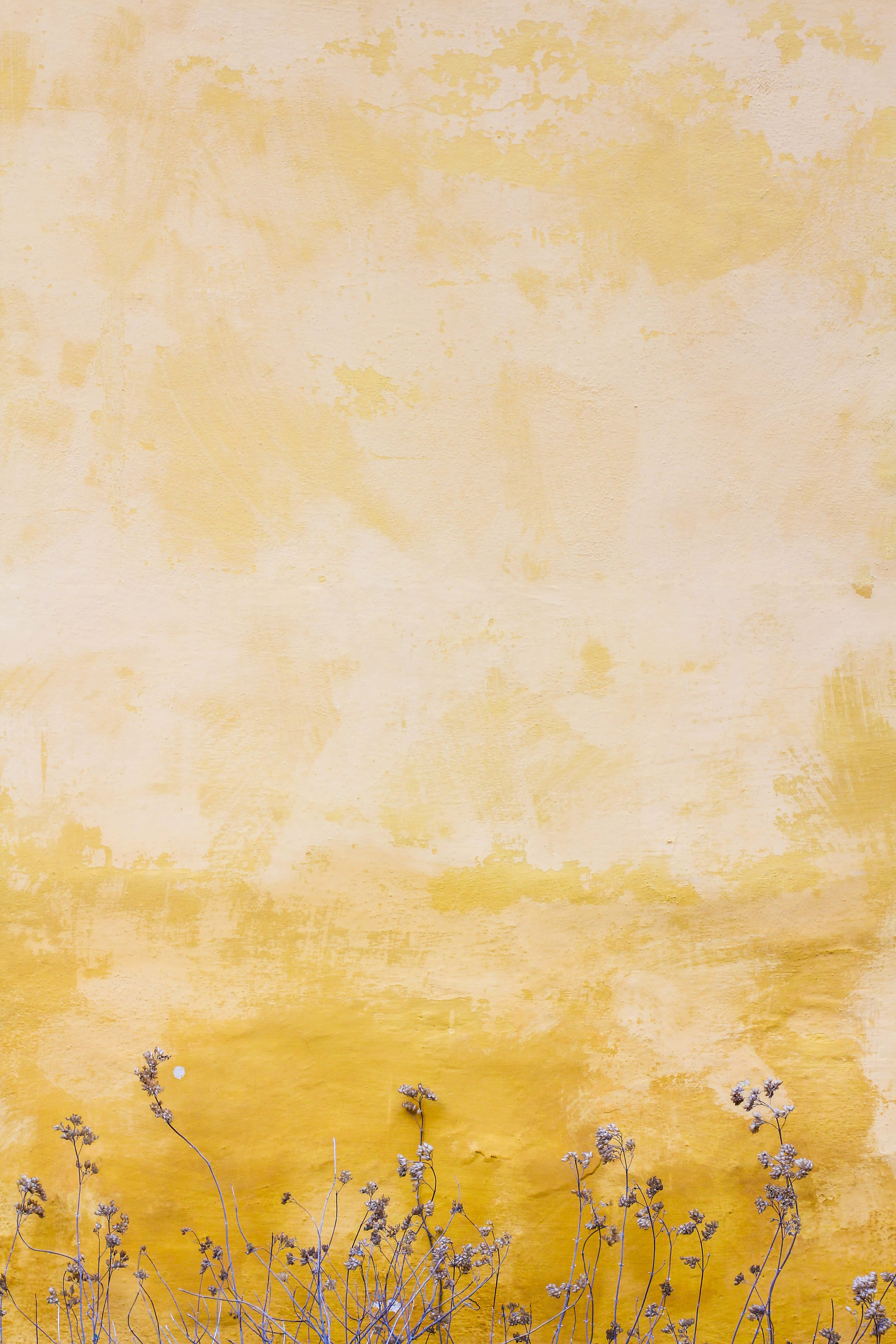 Verano Estético Fondos de pantalla