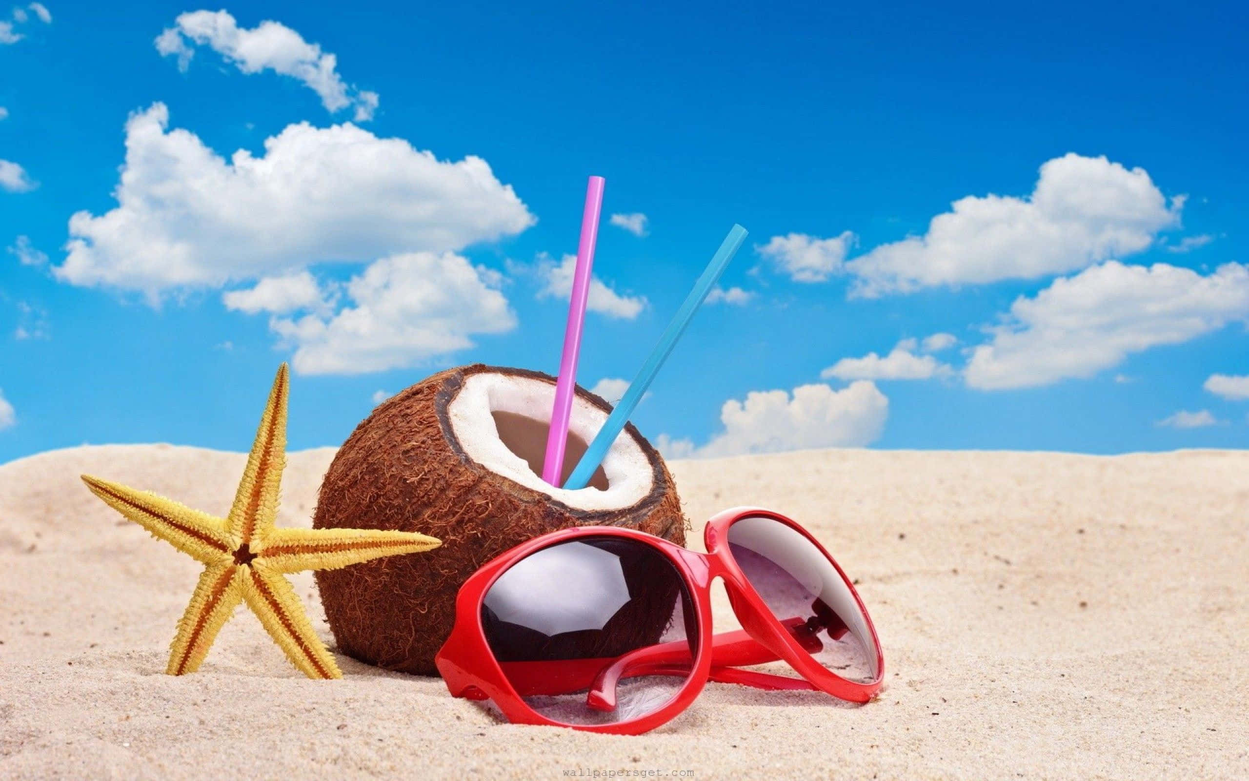 Verano Fresco con Coco y Lentes de Sol Fondos de pantalla