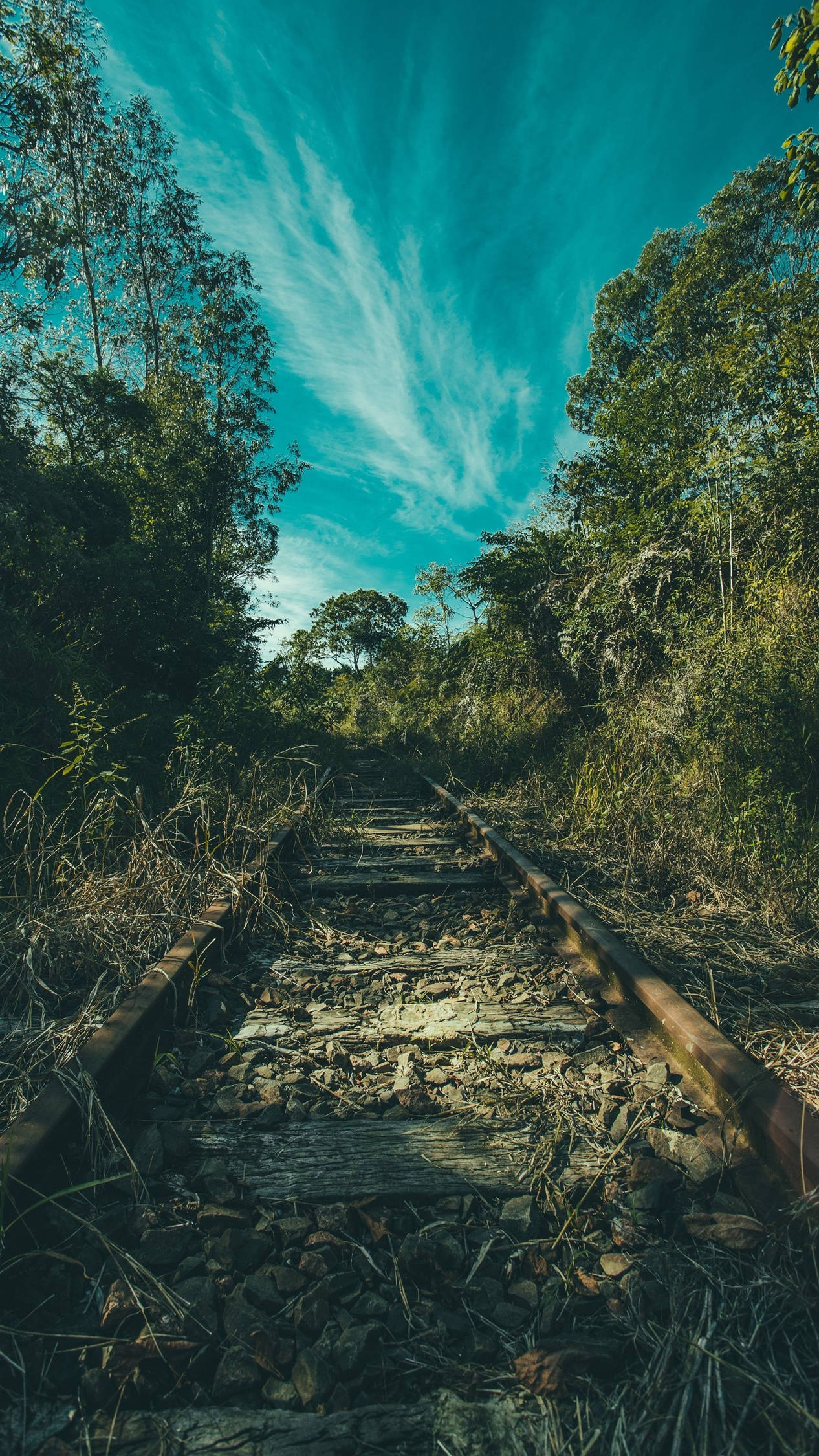 Vía de Tren Antigua 4K para Android Fondos de pantalla