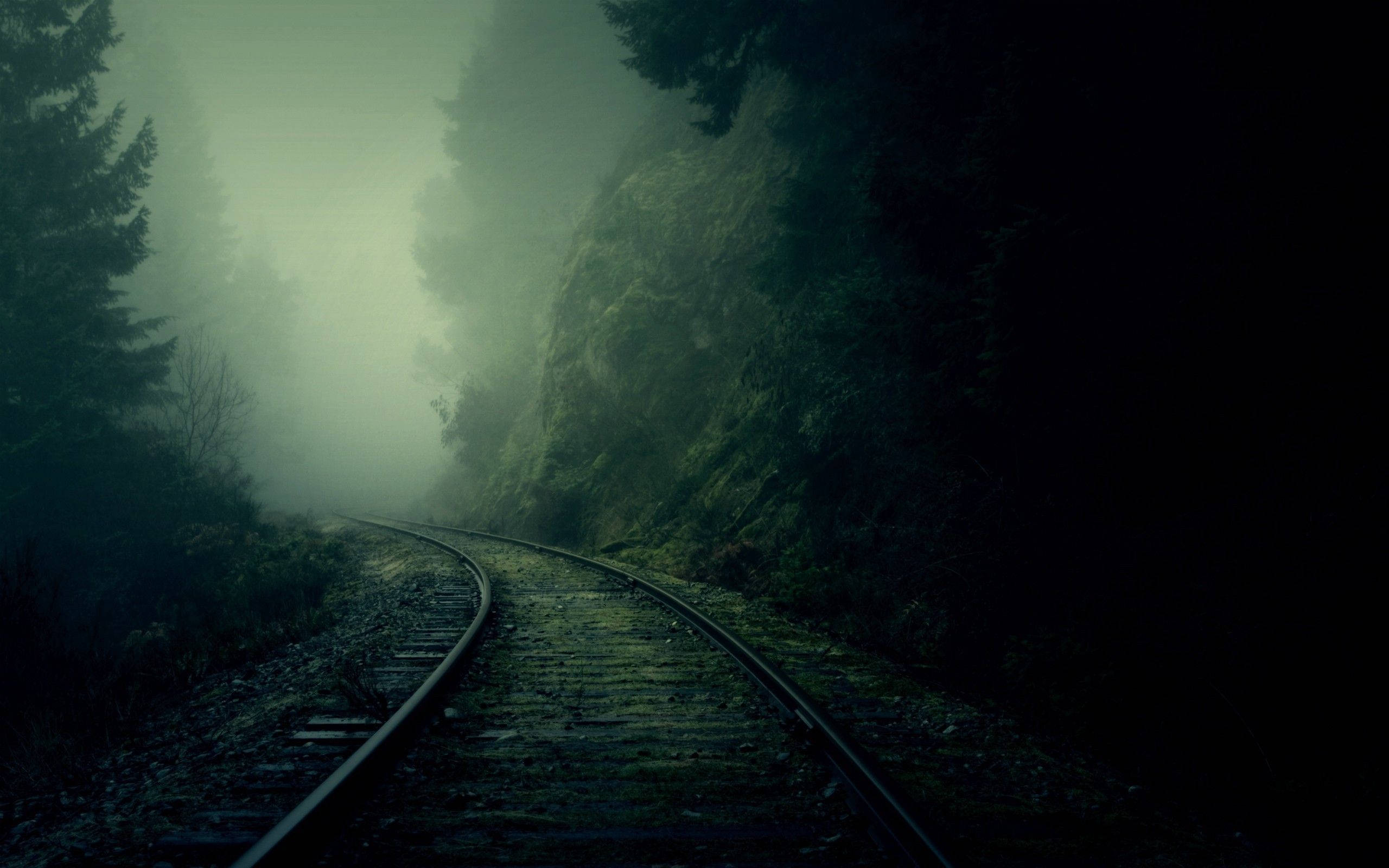 Vías de Tren en la Naturaleza 4K Fondos de pantalla
