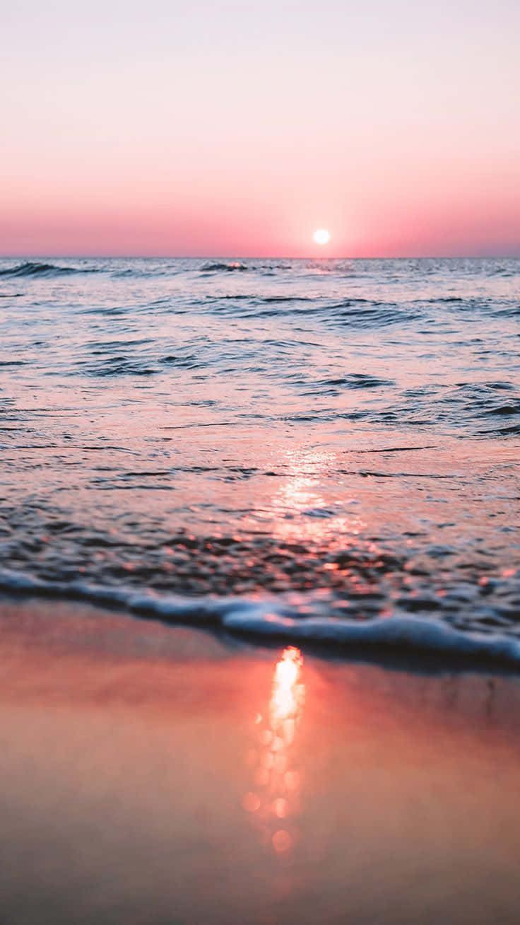 Vibes preppy para el verano Fondos de pantalla
