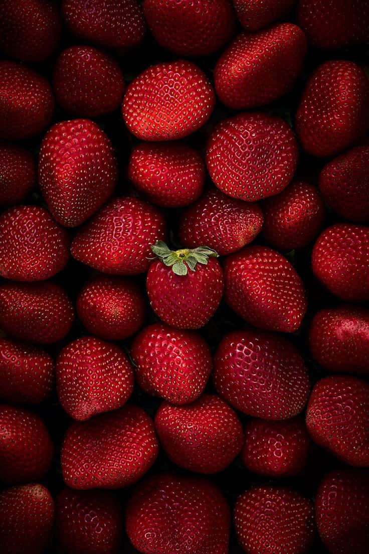 Vibraciones ardientes y radiantes Fondos de pantalla
