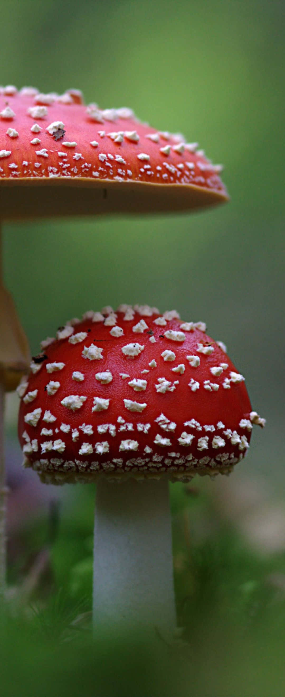 Vibrantes Franjas de Colores Contra un Cielo Nocturno Fondos de pantalla