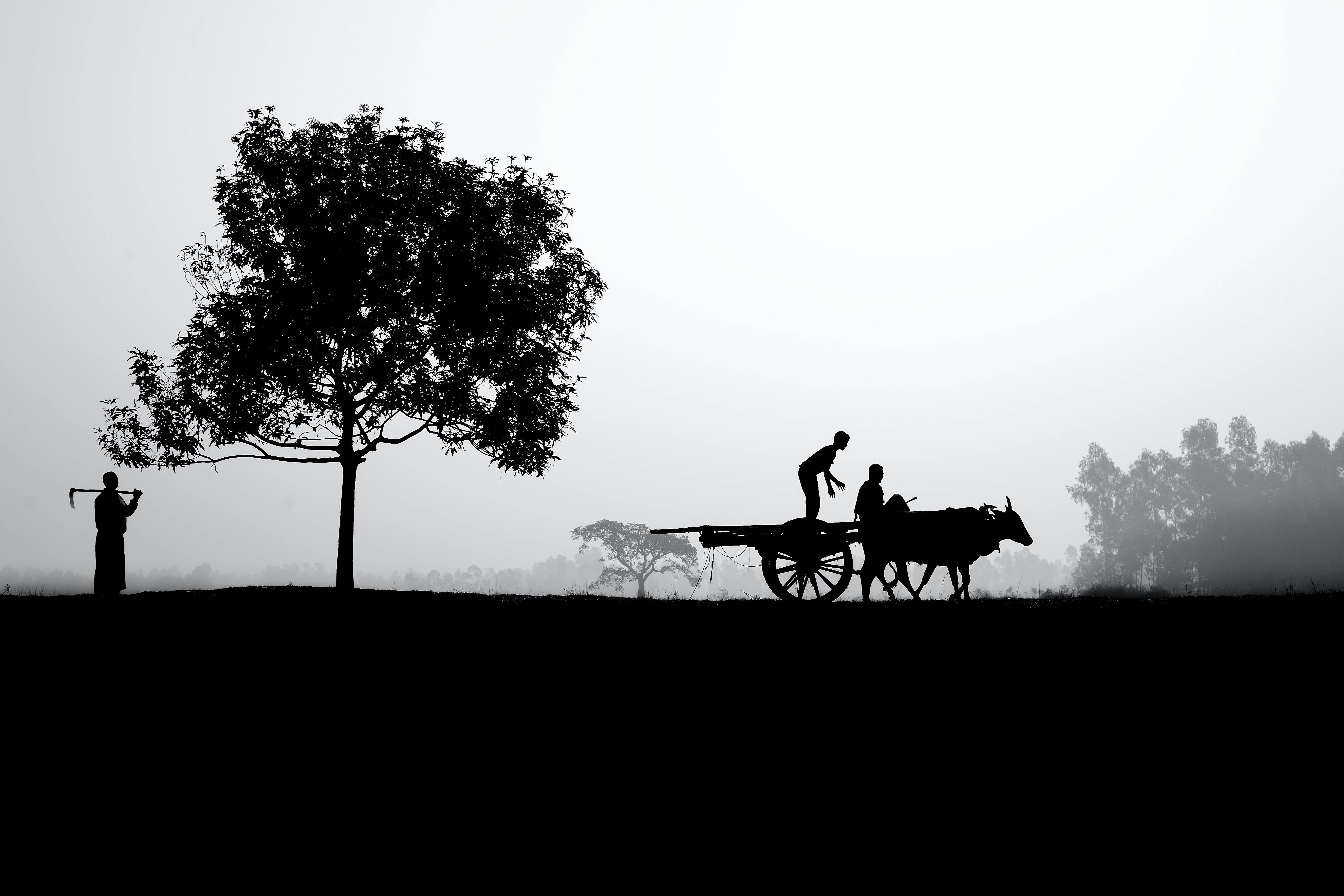 Vida en la Granja Silueta Fondos de pantalla