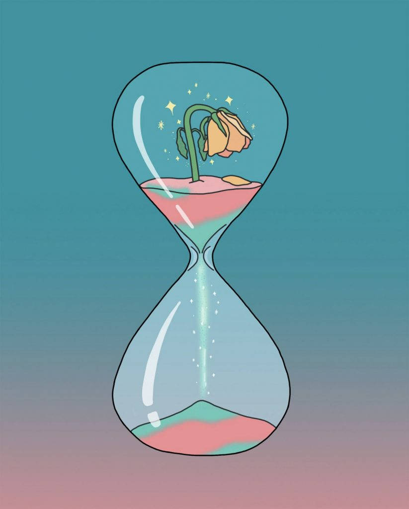 Vida vegetal en un reloj de arena Fondos de pantalla