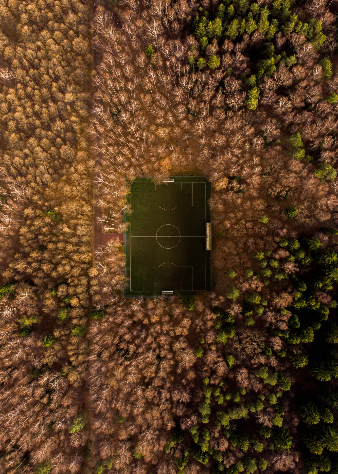 Fondo de pantalla de vista aérea de campo de fútbol rodeado de árboles.