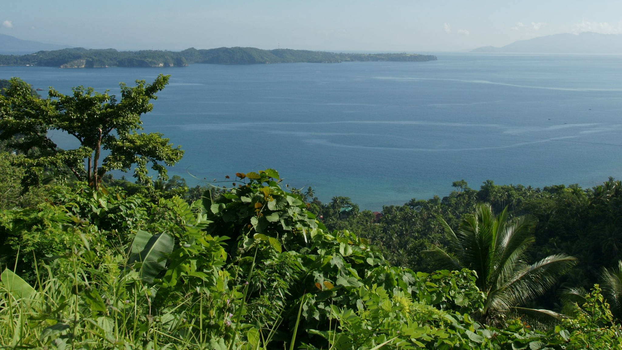 Vista al Océano Cerca de la Jungla Fondos de pantalla