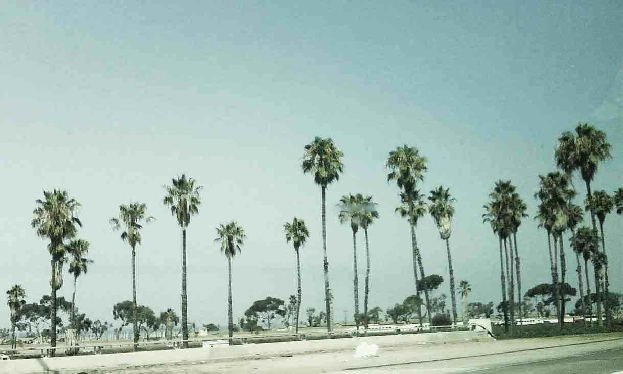 Vista Costera Majestuosa de California Fondos de pantalla