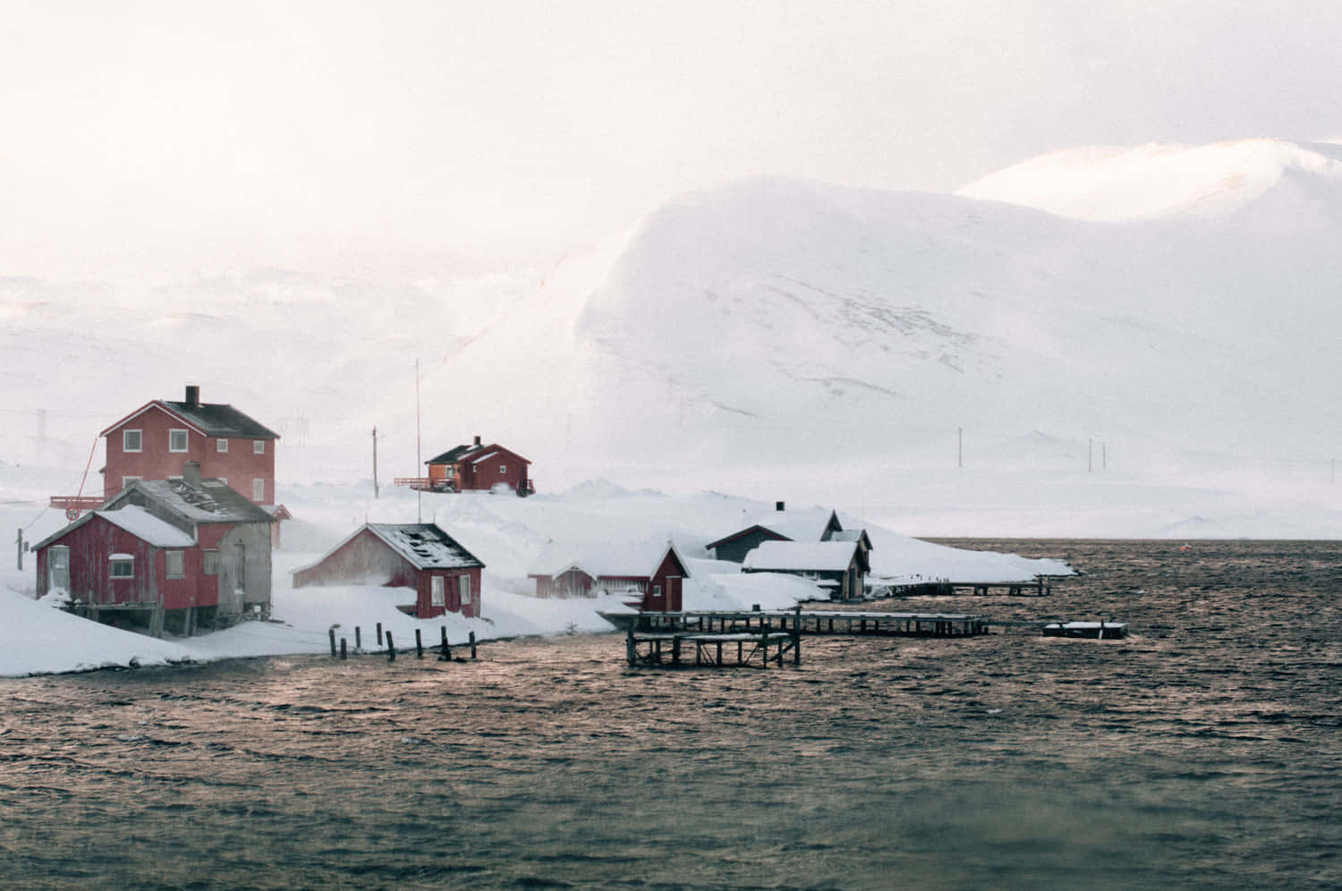 Vista de árboles cubiertos de nieve recién caída Fondos de pantalla