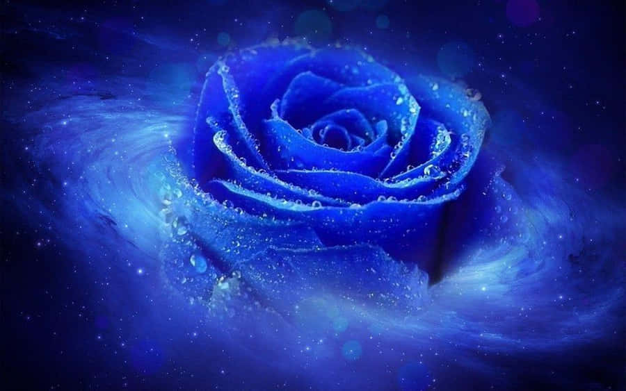 Vista de cerca de una impresionante puesta de sol floral rosa Fondos de pantalla