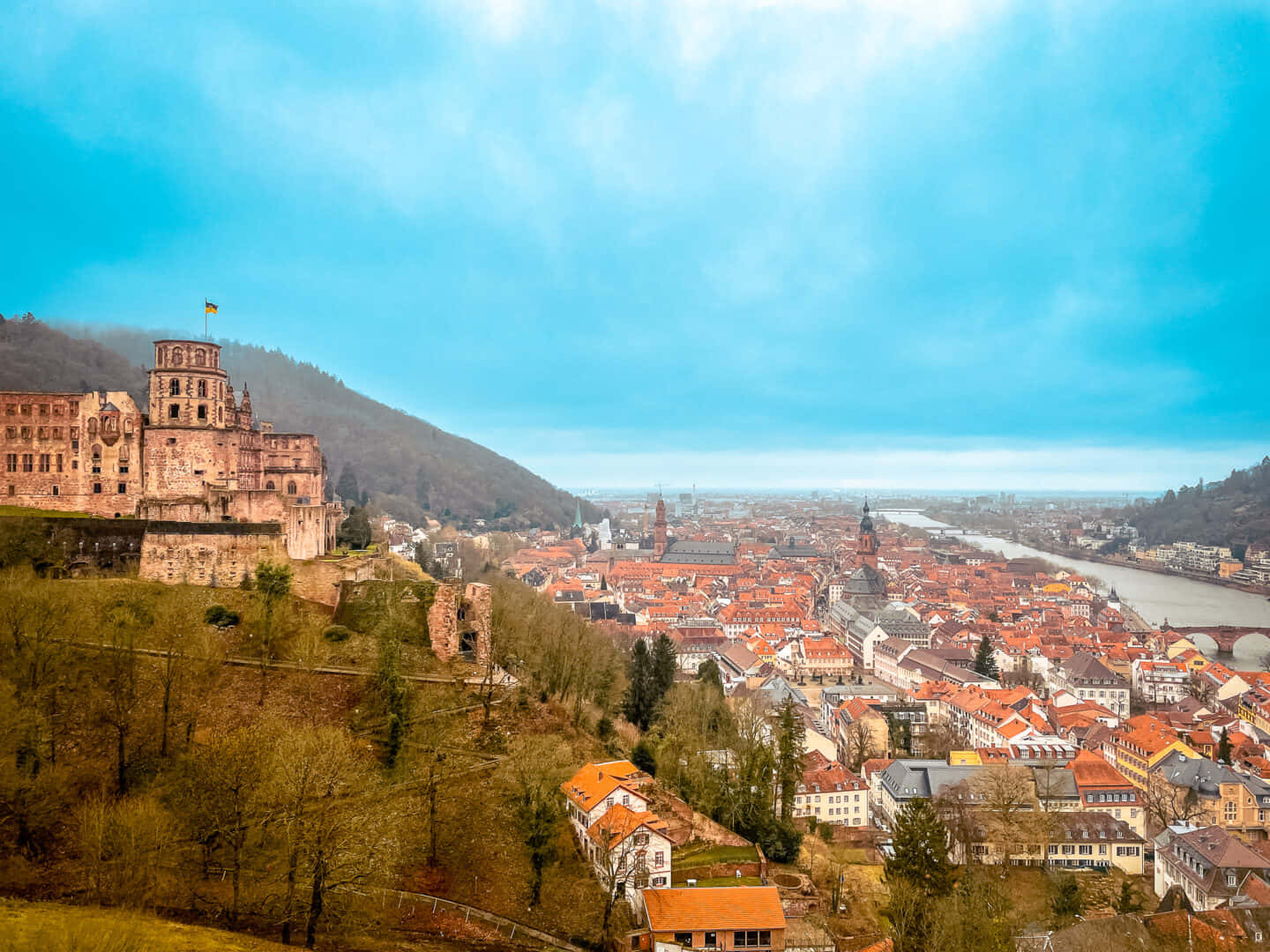 Vista de la ciudad y el Castillo de Heidelberg Fondos de pantalla