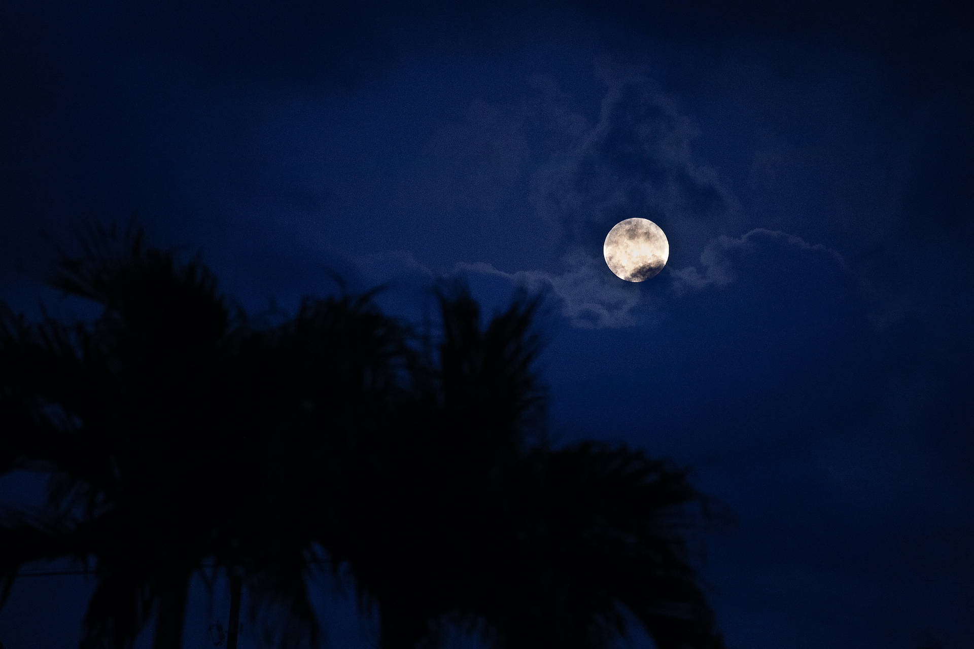 Luna brillando intensamente en una isla con palmeras. Luna llena en el cielo azul oscuro de medianoche.