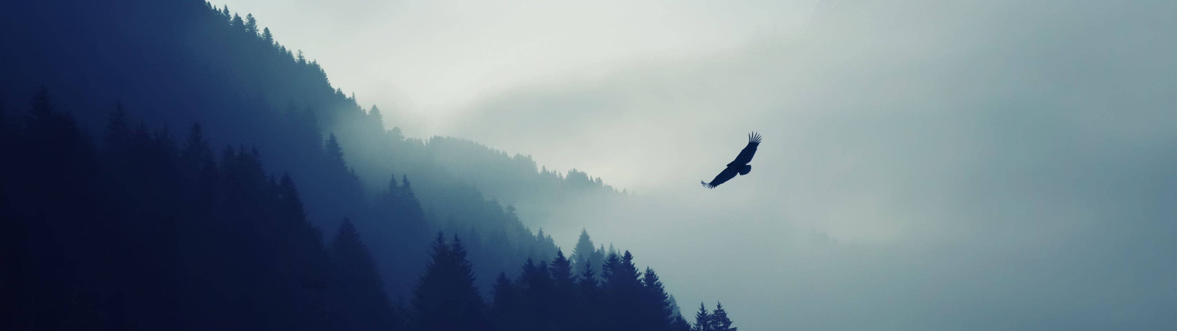 Vista de un majestuoso águila volando sobre la ladera de la montaña Fondos de pantalla