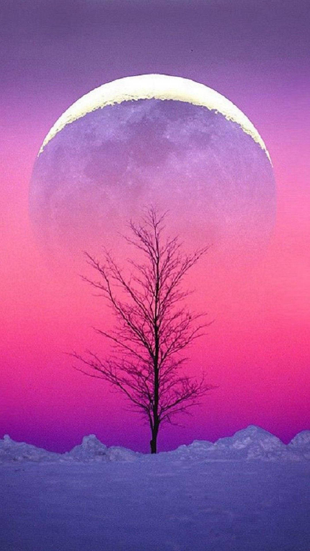 Vista del cielo con luna Fondos de pantalla
