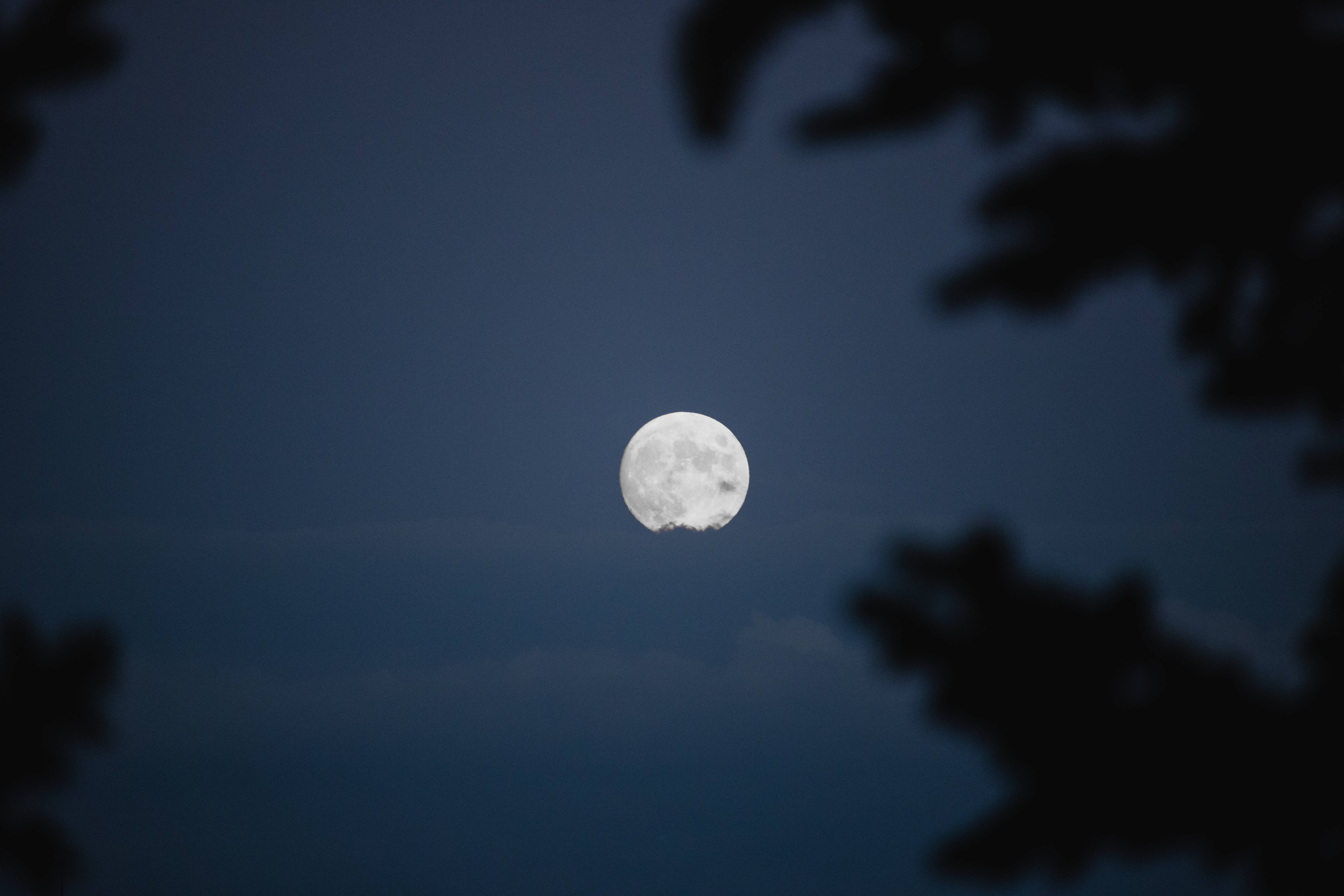 Vista en contrapicado de la luna estética Fondos de pantalla